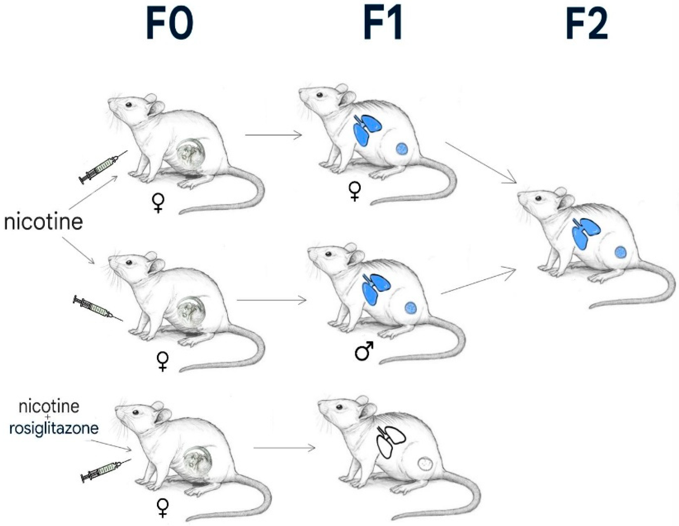 Ijerph 22 01622 g001 Ijerph 22 01622 g001