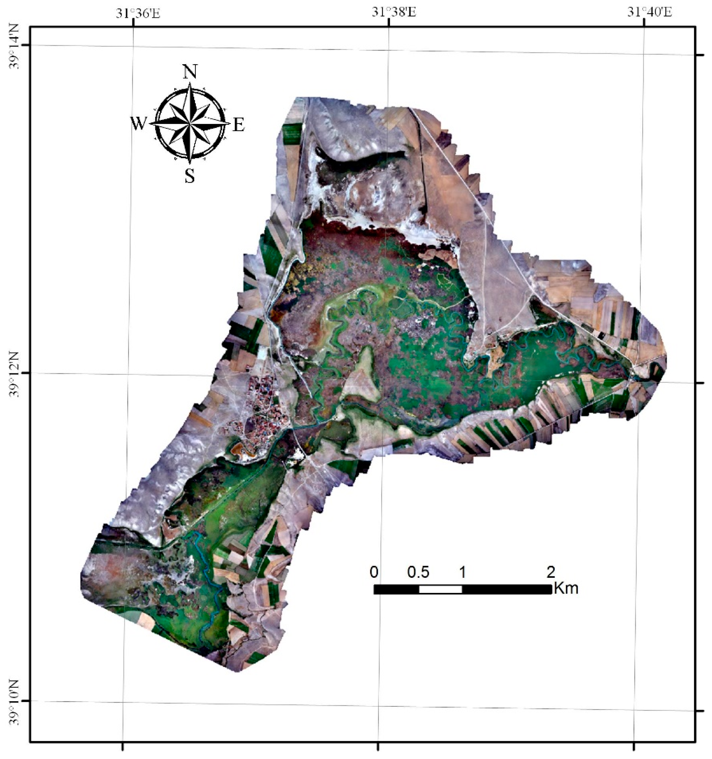 IJGI | Free Full-Text | Monthly Analysis of Wetlands Dynamics