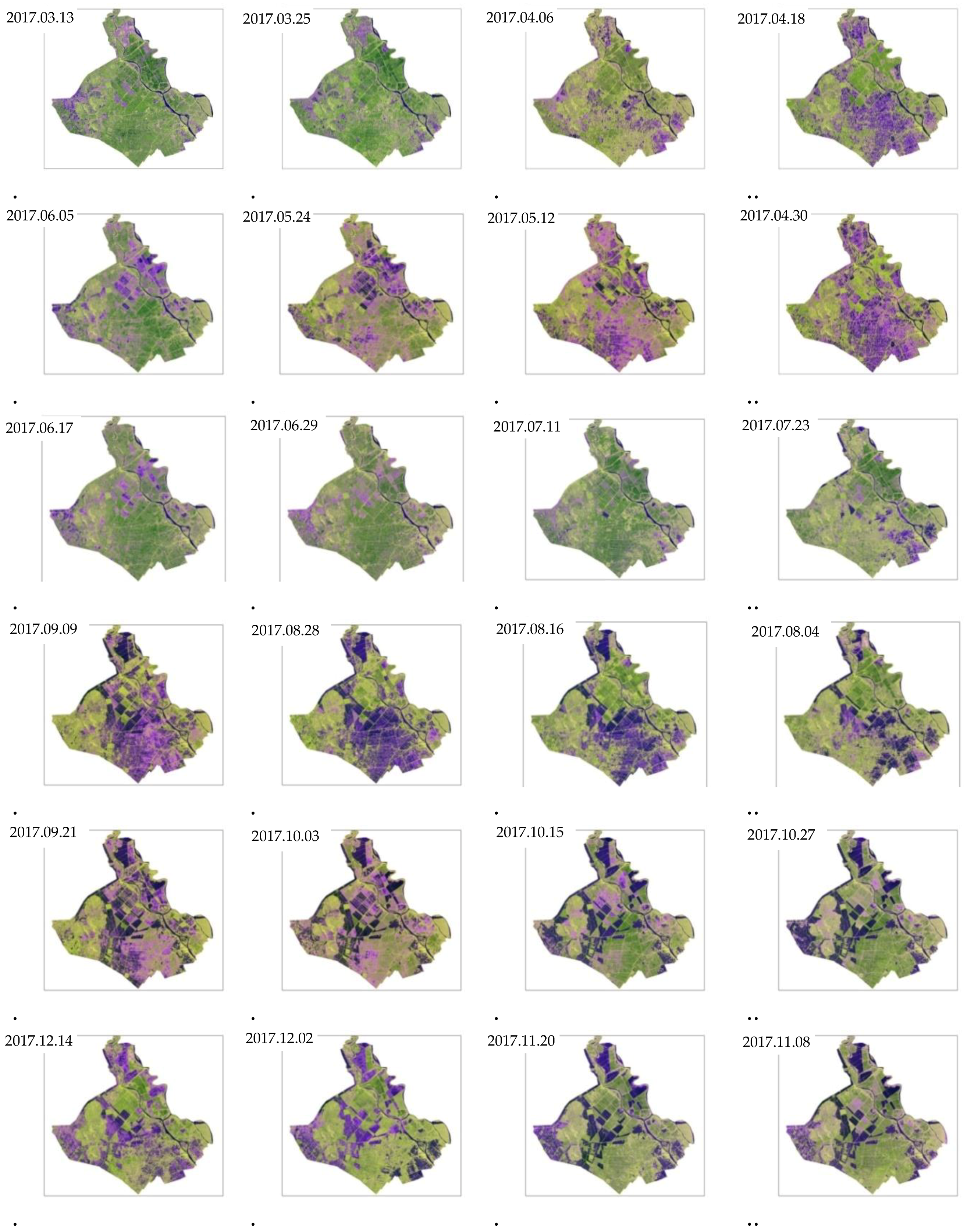 Ijgi Free Full Text Monitoring And Mapping Of Rice Cropping Pattern In Flooding Area In The Vietnamese Mekong Delta Using Sentinel 1a Data A Case Of An Giang Province Html