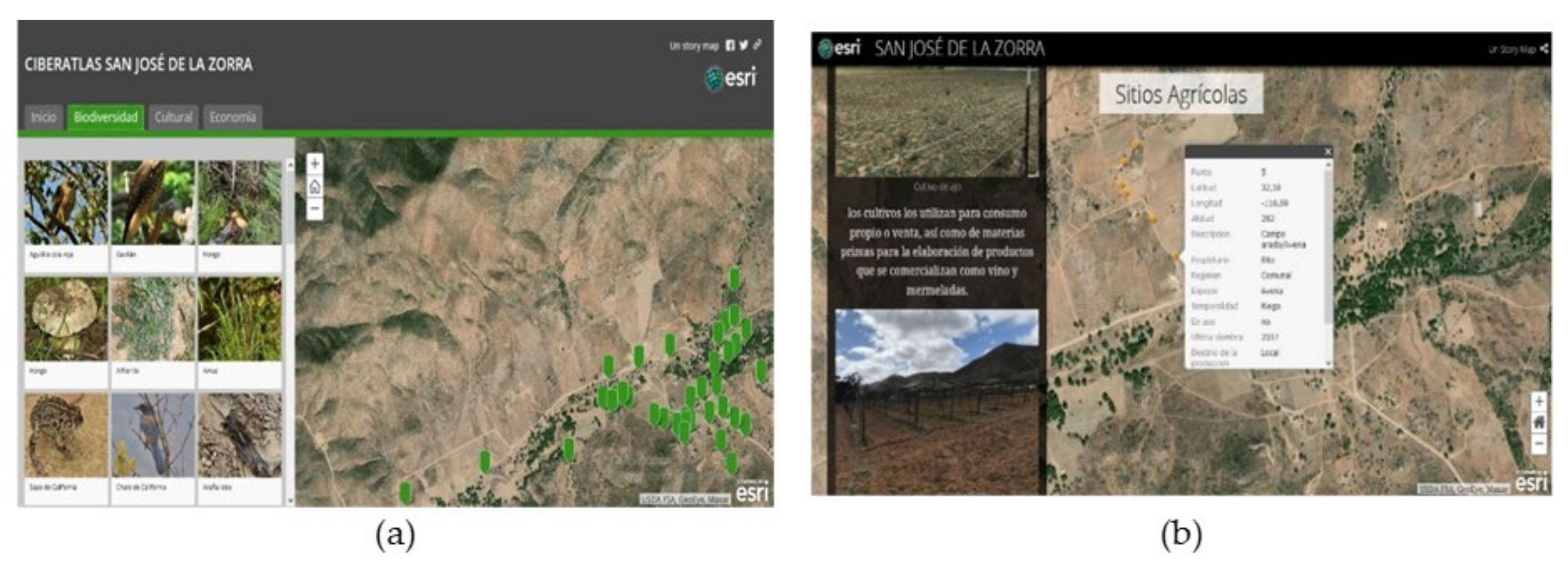 Ijgi Free Full Text Participatory Mapping As A Didactic And Auxiliary Tool For Learning Community Integration Technology Transference And Natural Resource Management Html