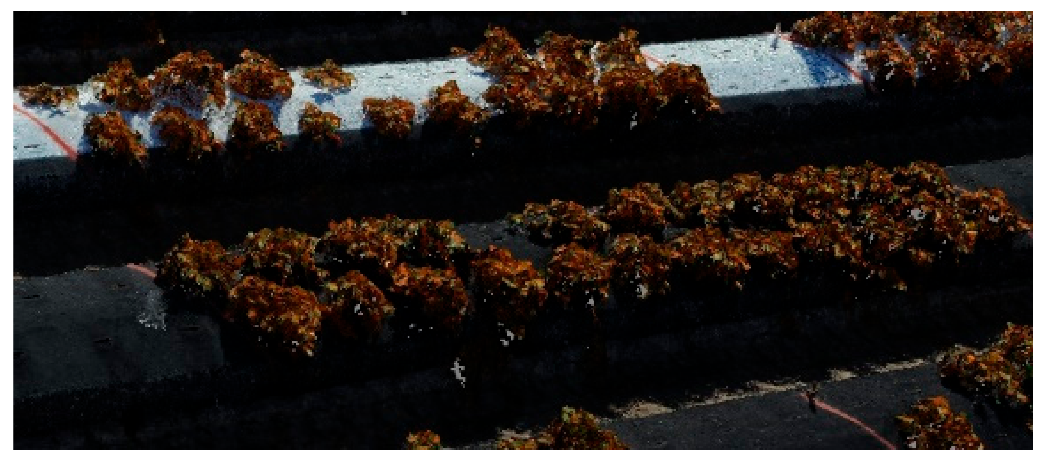 Ijgi 10 00239 g004 Ijgi 10 00239 g004