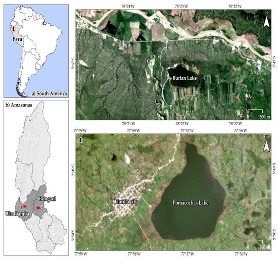 IJGI | Free Full-Text | Dynamics of the Burlan and Pomacochas Lakes Using  SAR Data in GEE, Machine Learning Classifiers, and Regression Methods