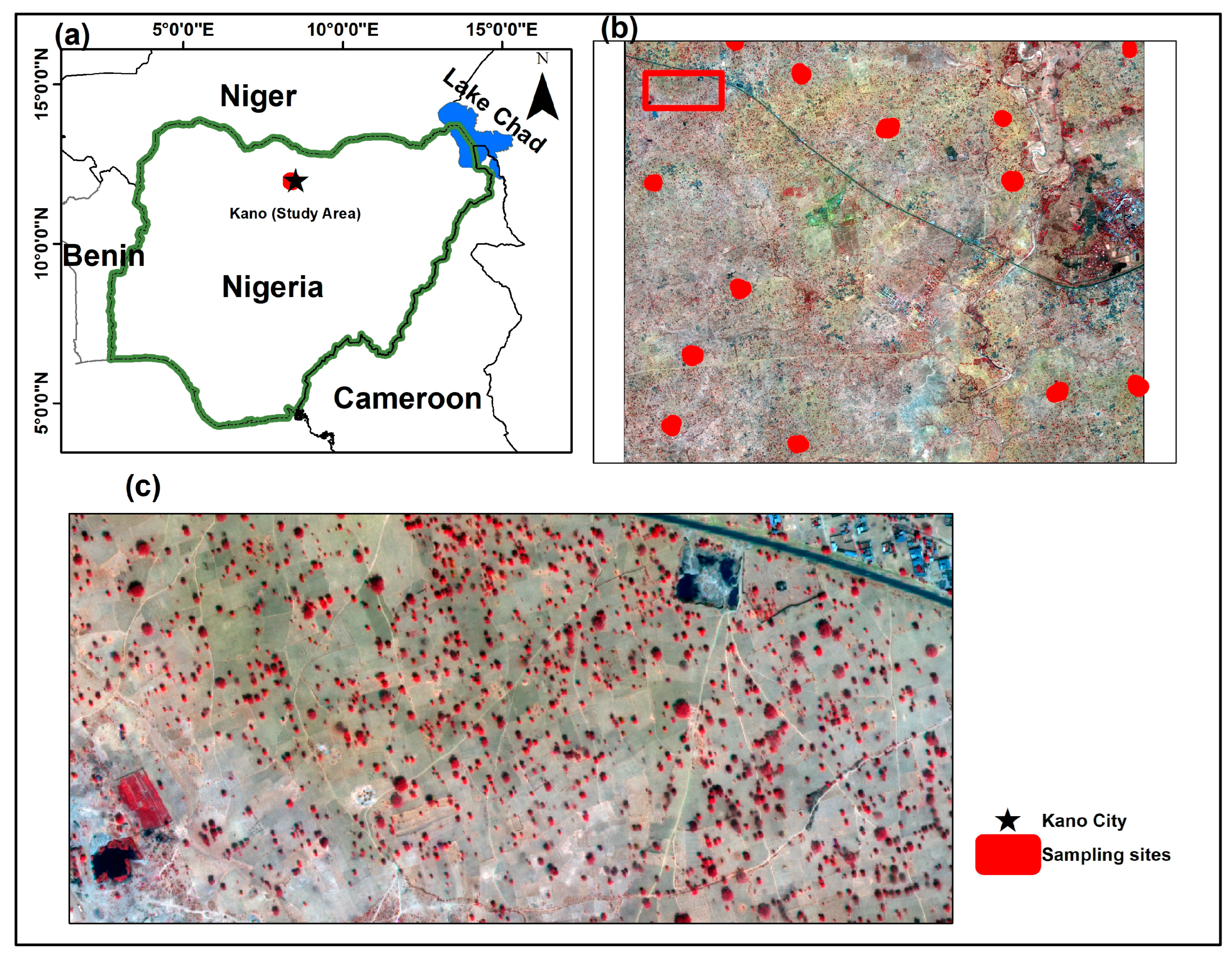 IJGI | Free Full-Text | A Comparison of Machine Learning Models for Mapping  Tree Species Using WorldView-2 Imagery in the Agroforestry Landscape of  West Africa