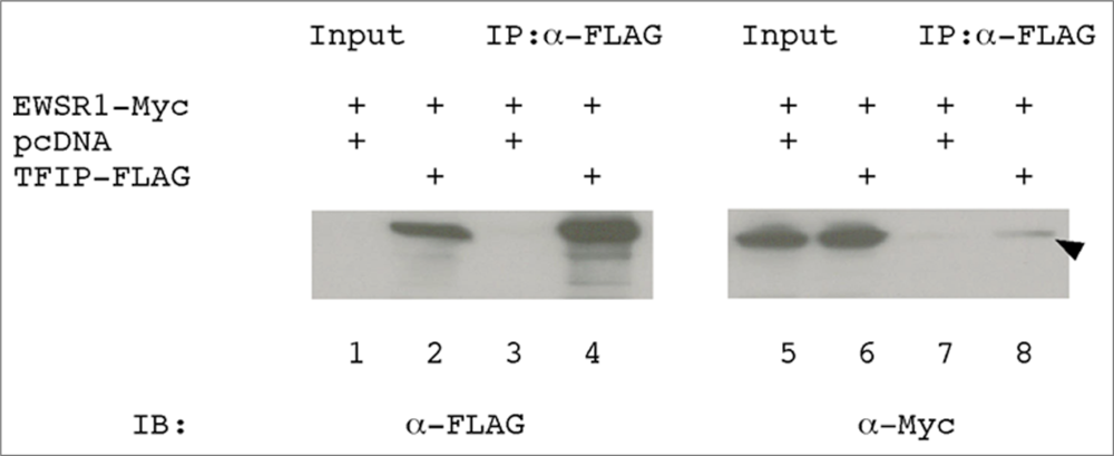 Ijms 09 01504f4