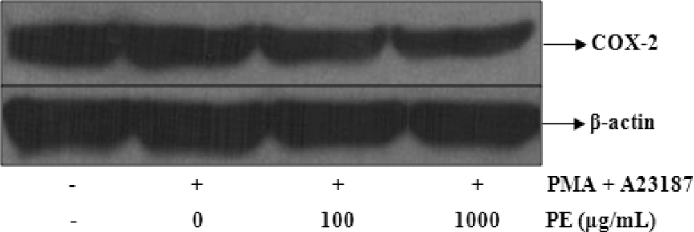 Ijms 11 02746f5