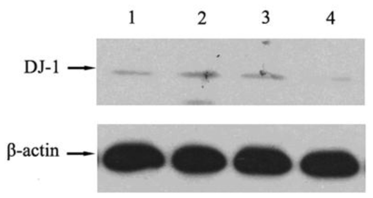Ijms 12 03489f2