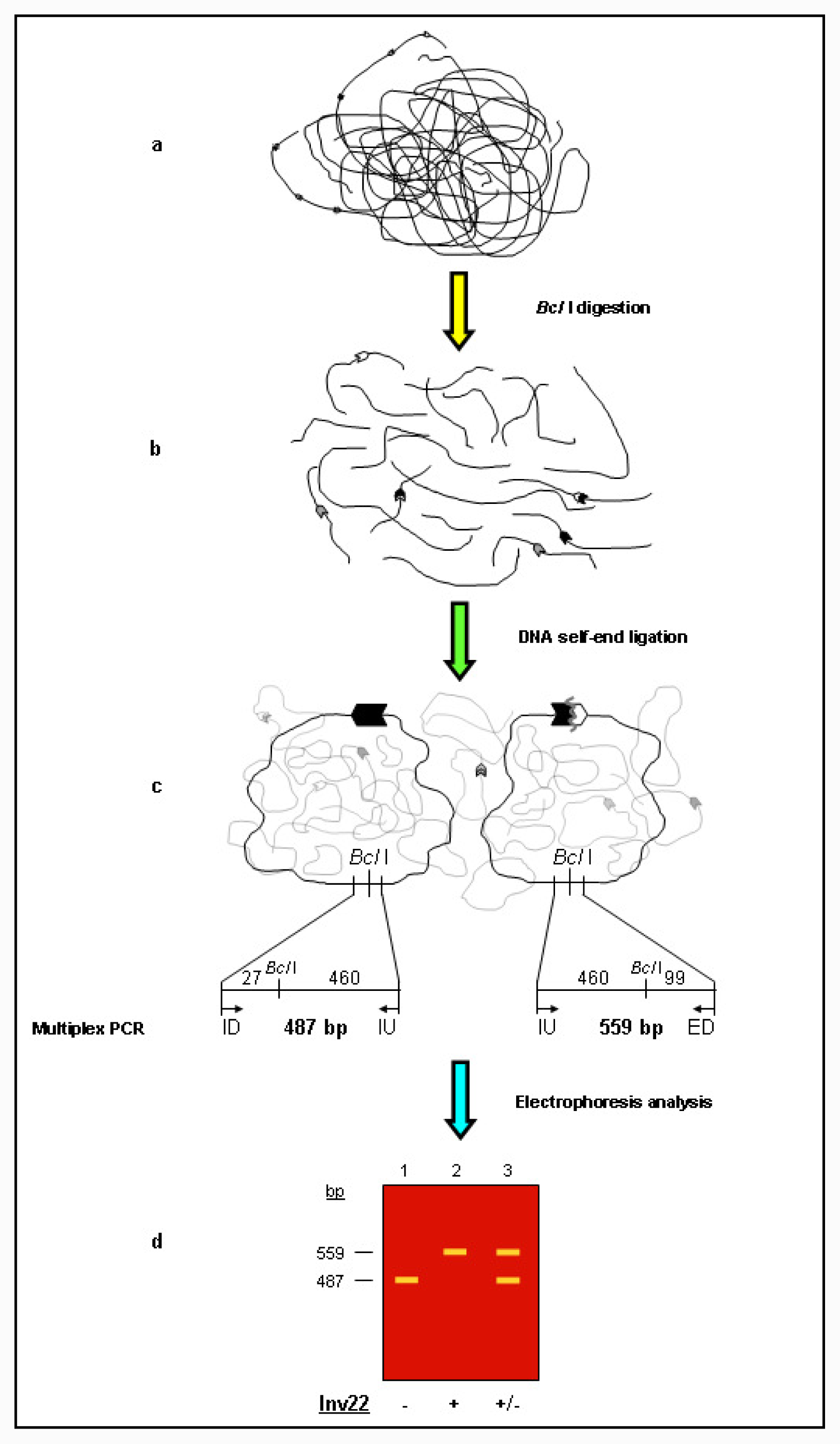 Ijms 12 07271f2