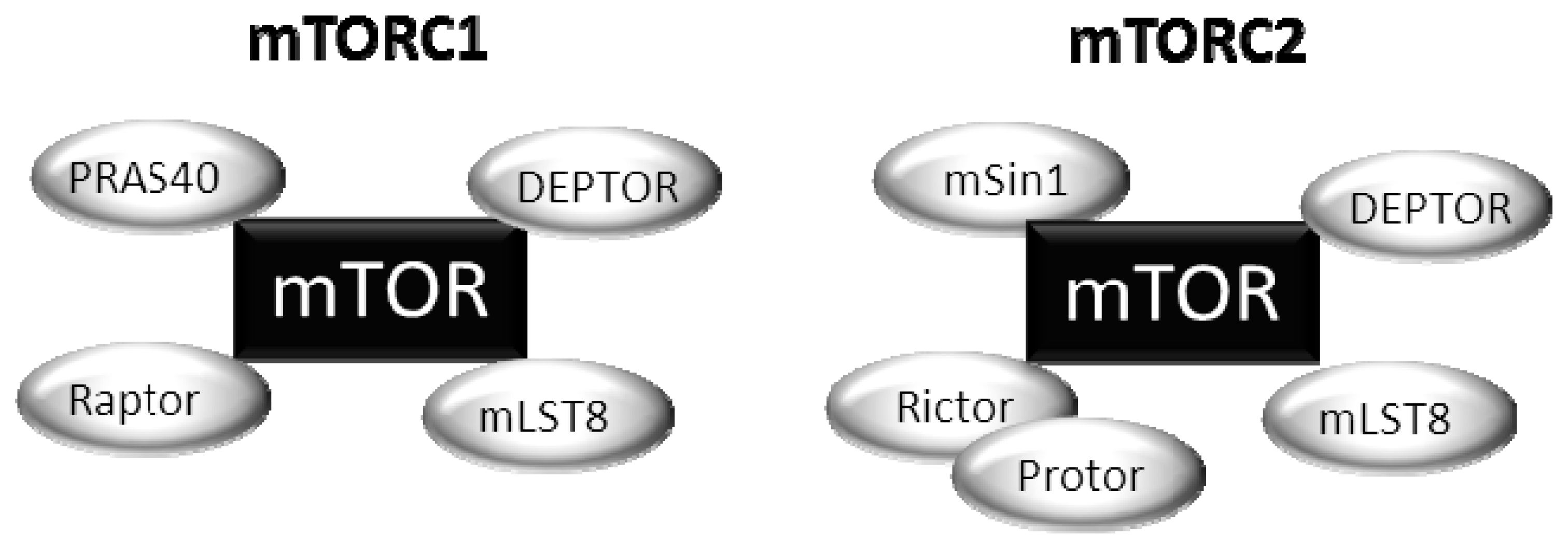 Ijms 13 01886f2