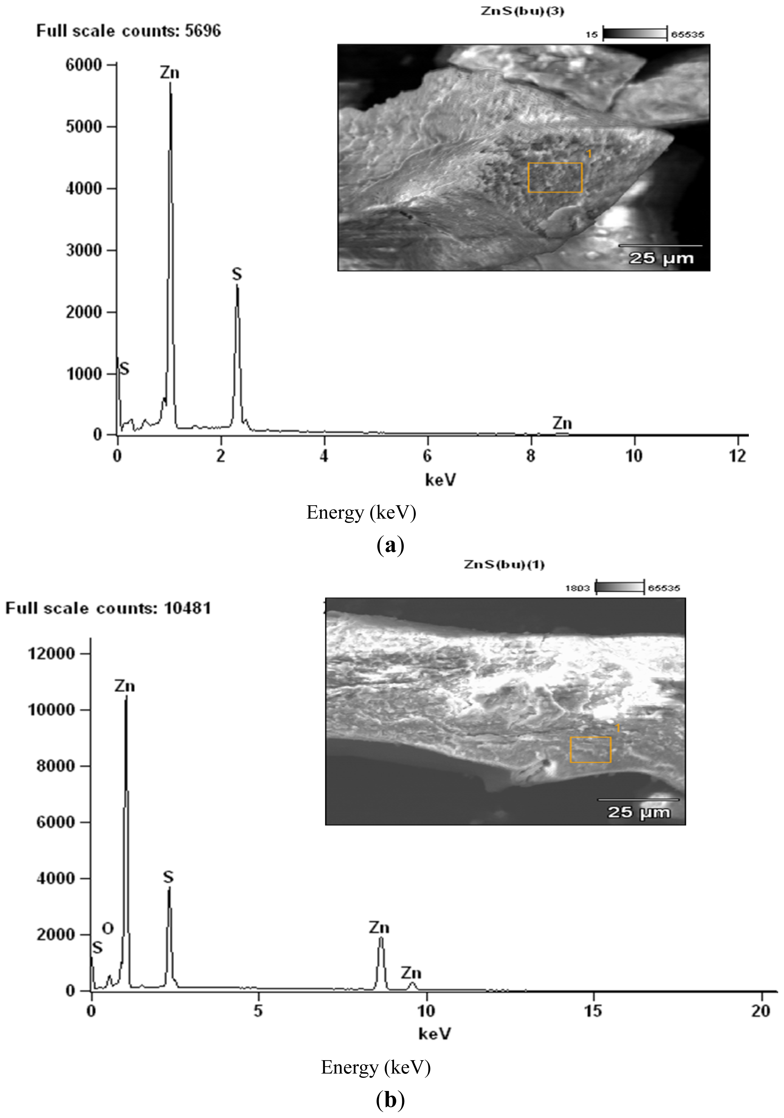 Ijms 13 09502f4
