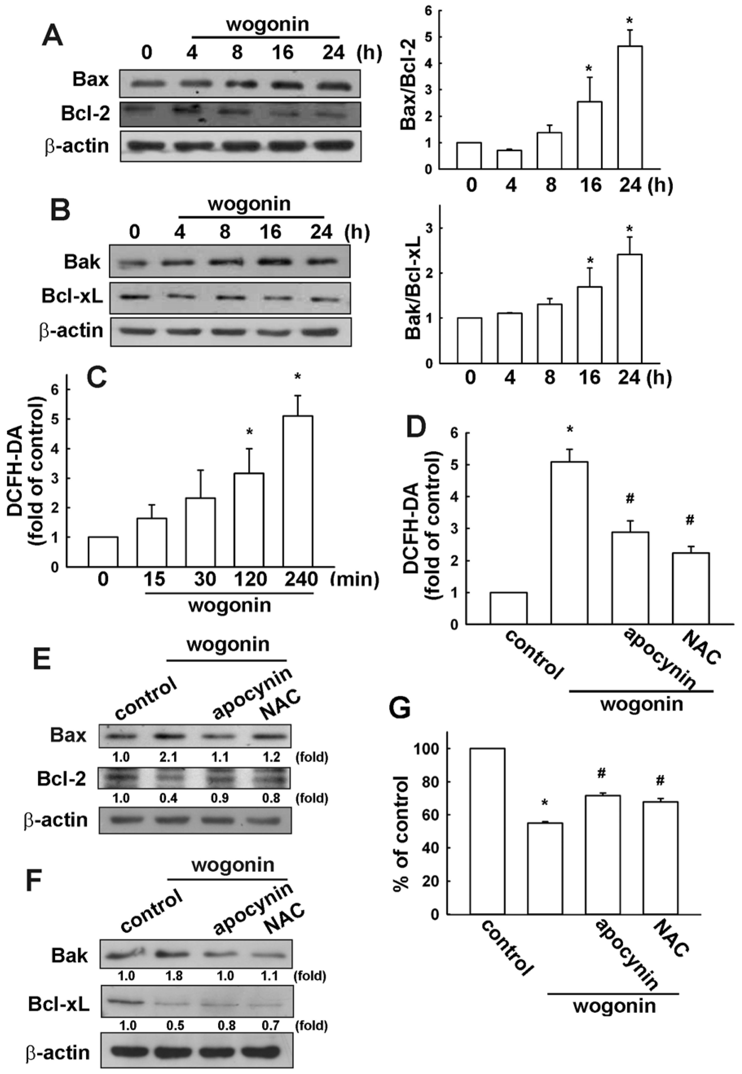IJMS | Free Full-Text | Wogonin Induces Reactive Oxygen Species Production  and Cell Apoptosis in Human Glioma Cancer Cells