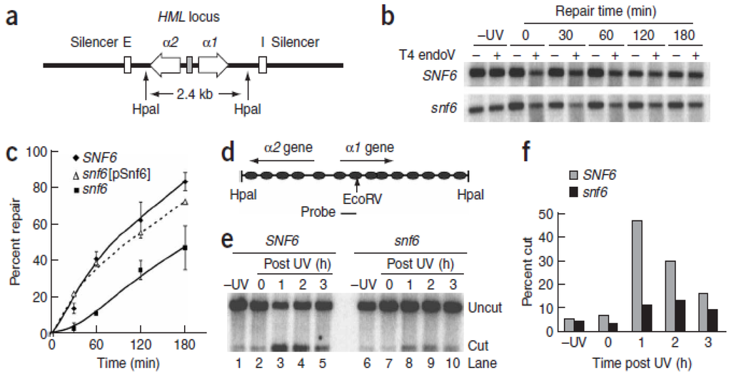 https://www.mdpi.com/ijms/ijms-13-11954/article_deploy/html/images/ijms-13-11954f1-1024.png