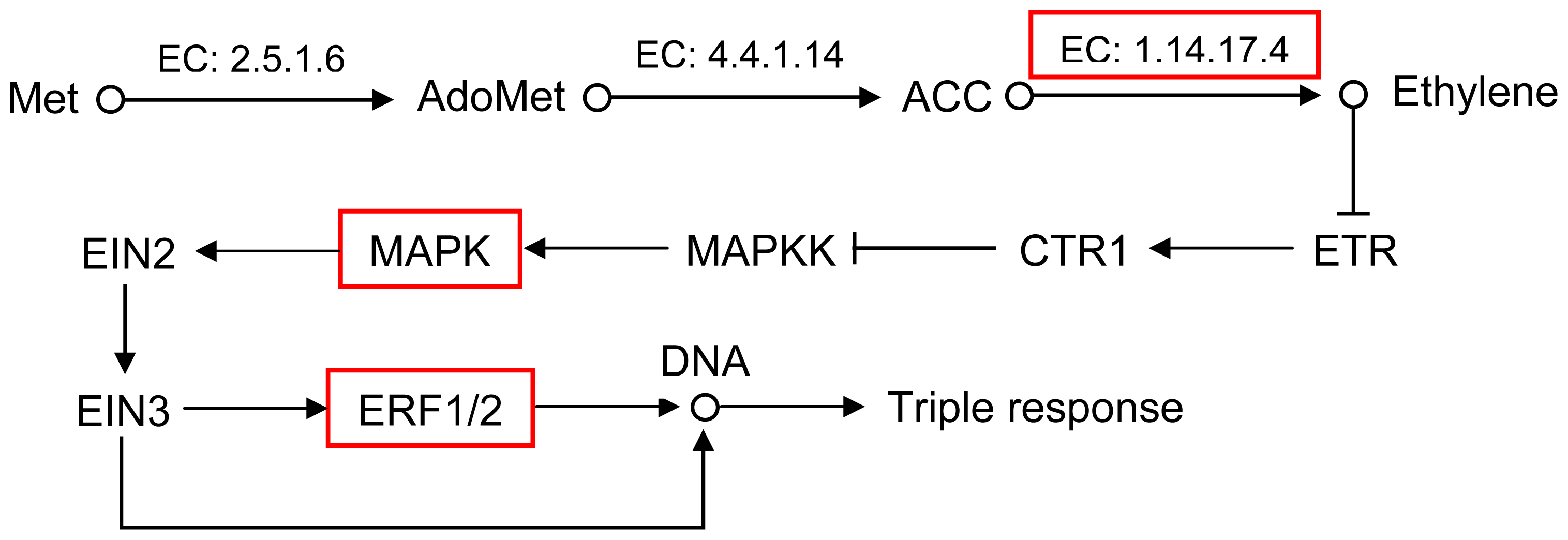 Ijms 13 13012f7
