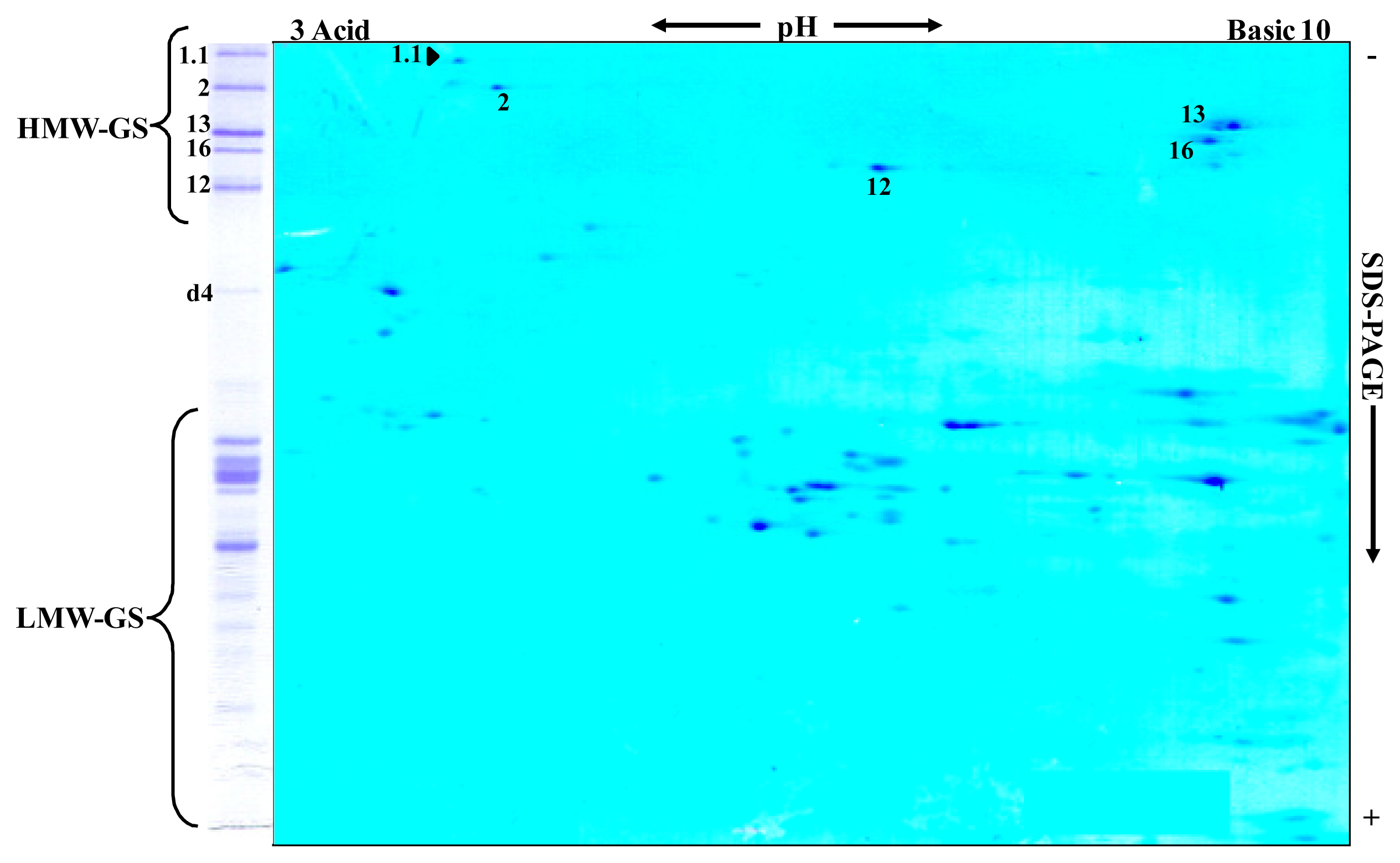 Ijms 14 05650f2