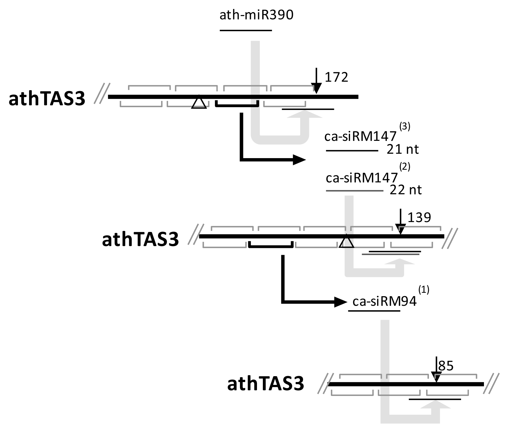 Ijms 14 14689f4