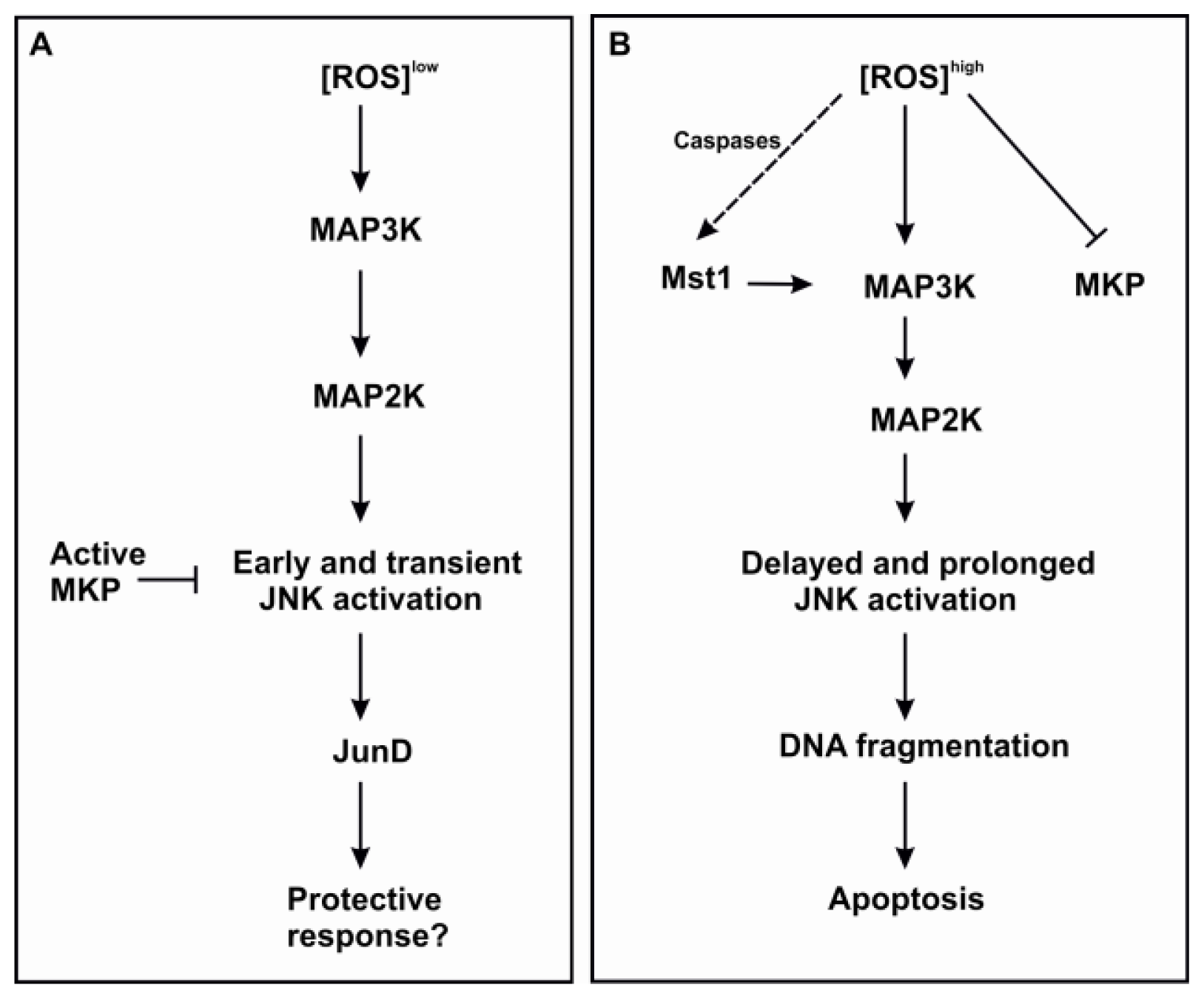 Ijms 15 03952f1