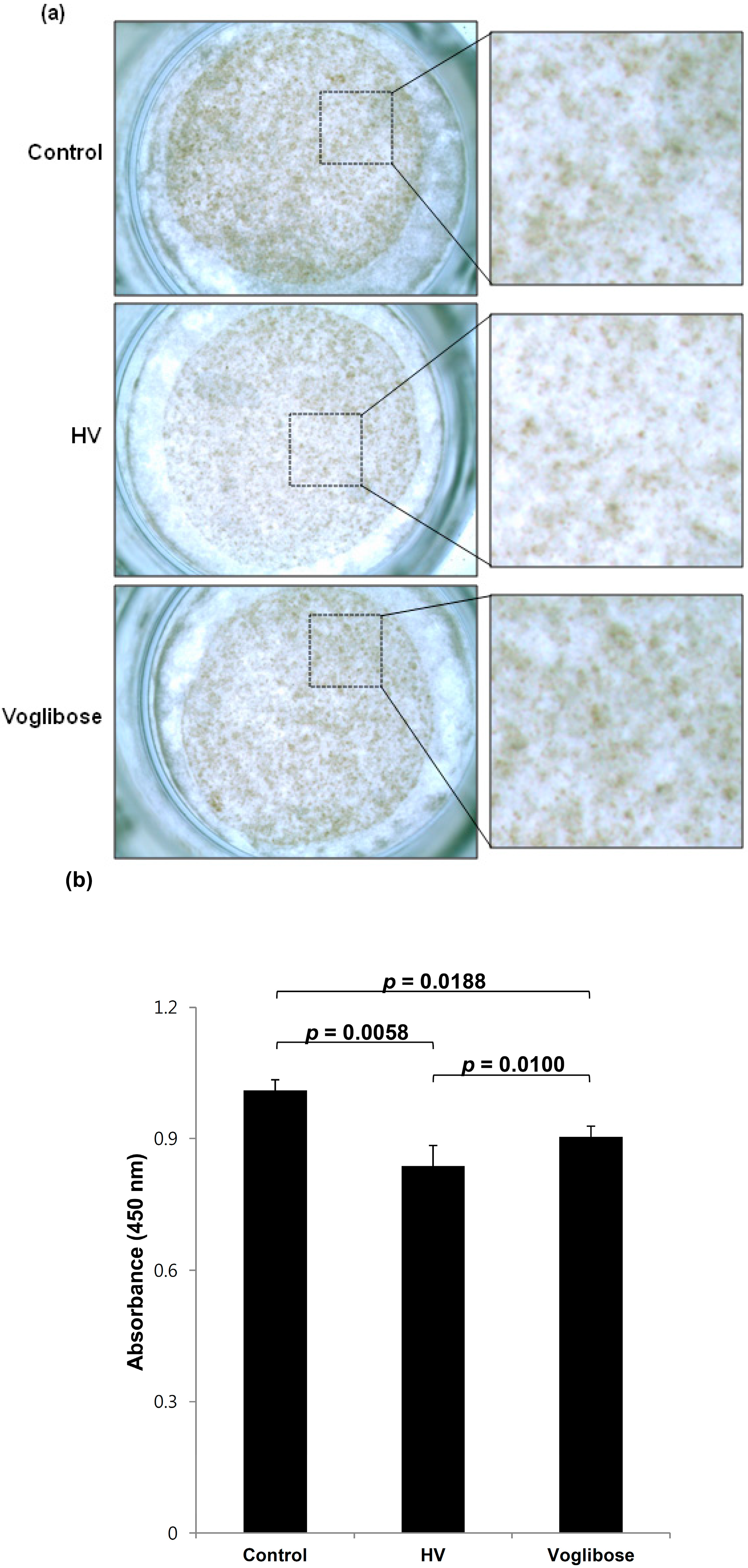 Ijms 15 12188 g002