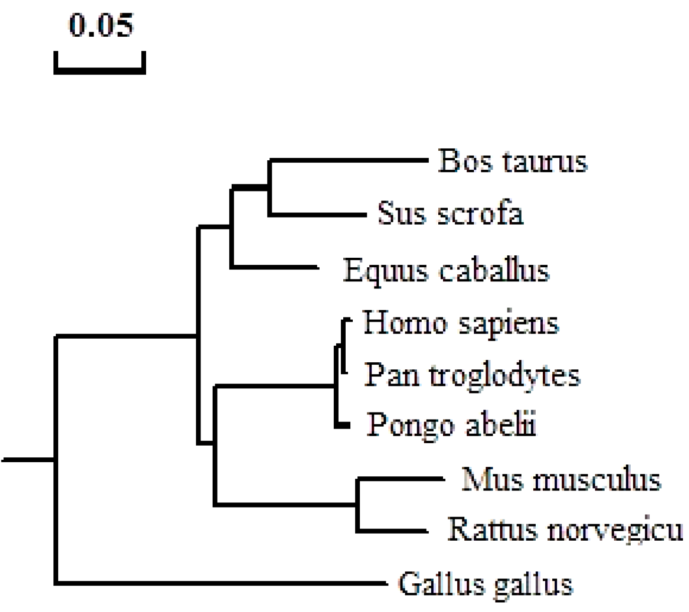 Ijms 15 12480 g004