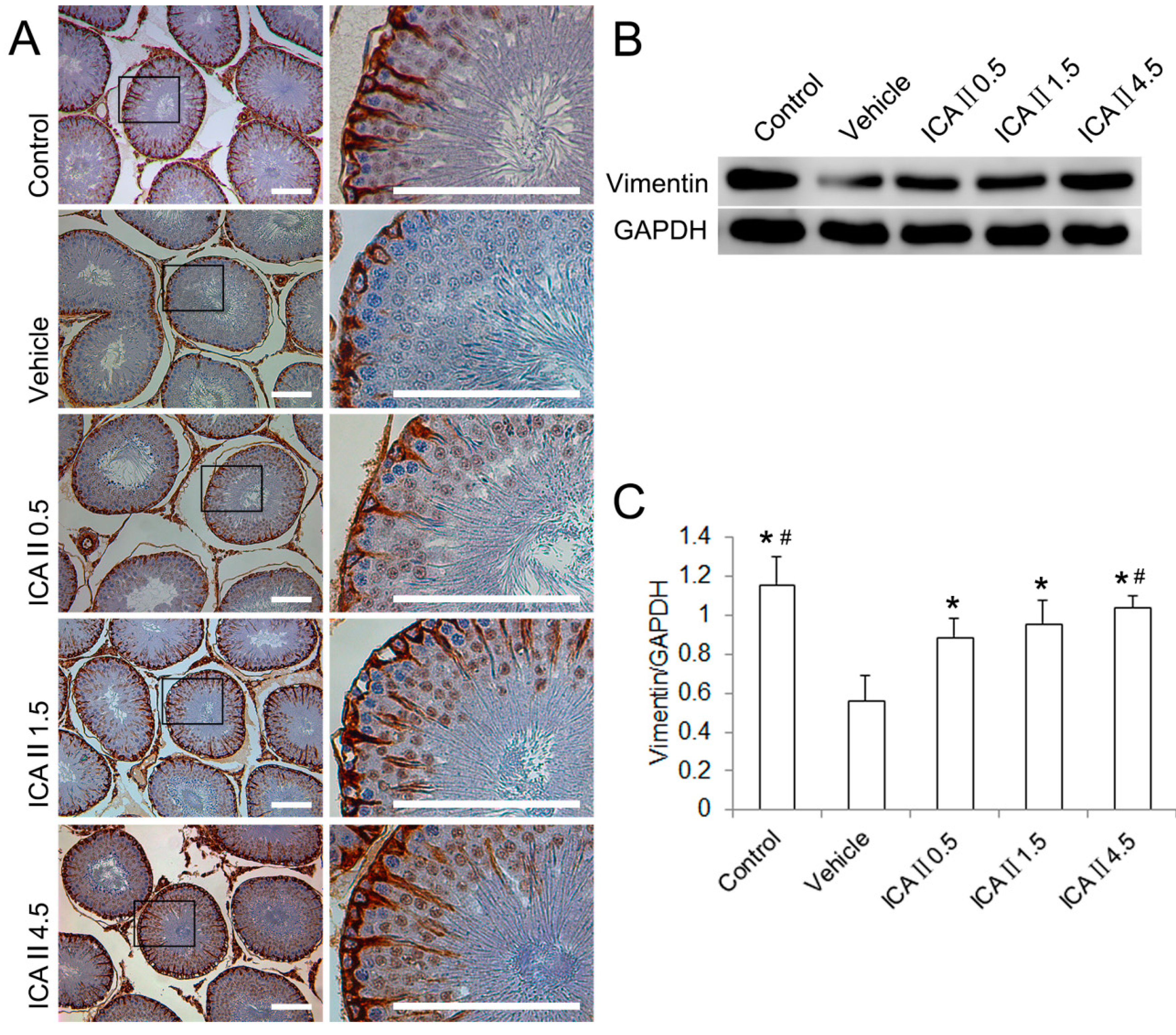Ijms 15 16100 g003