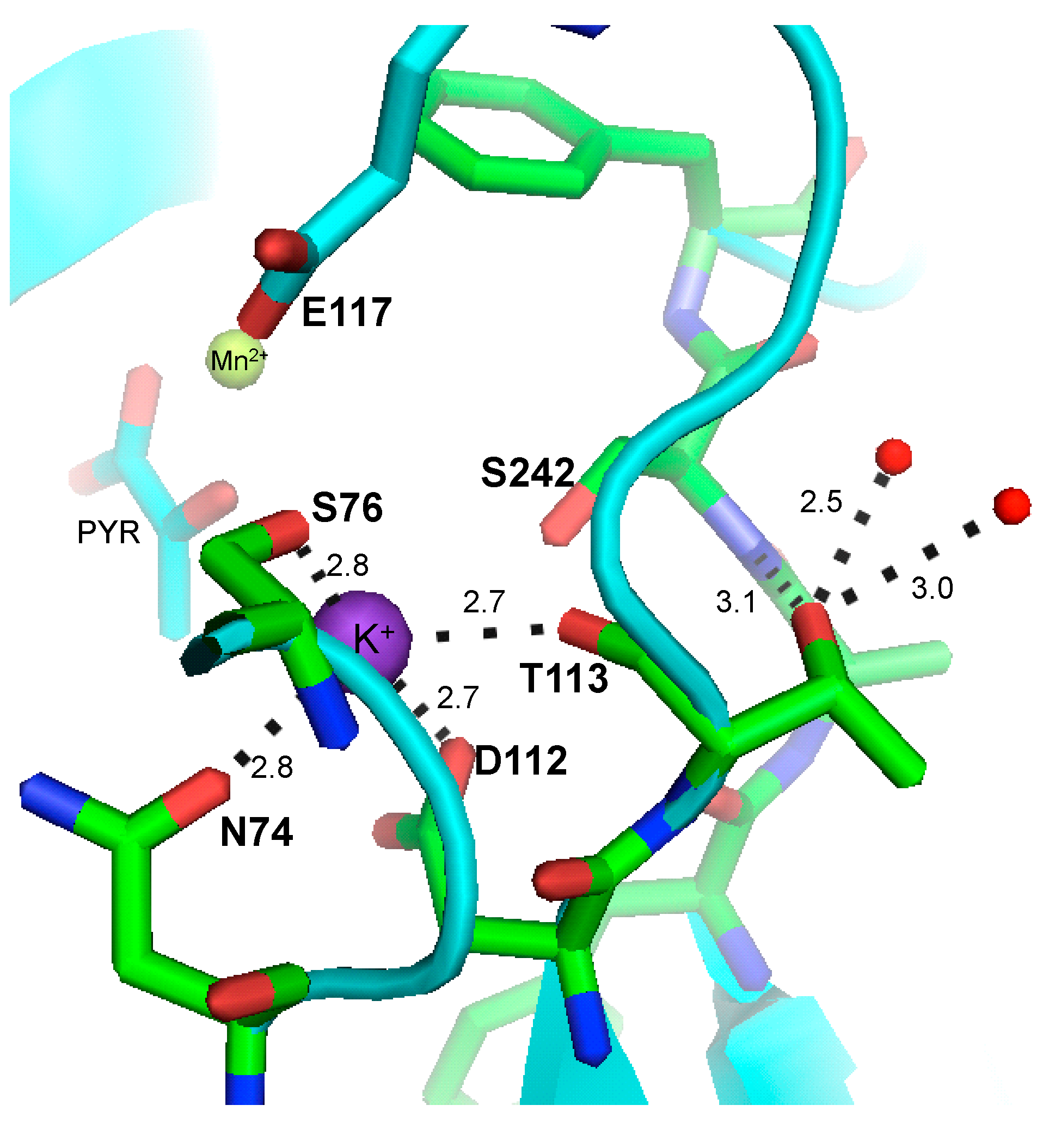 Ijms 15 22214 g001
