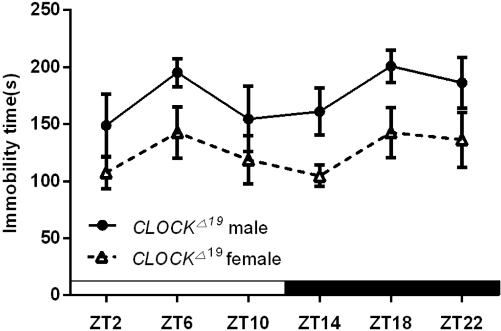 Ijms Free Full Text Sex Specific Diurnal Immobility Induced By Forced Swim Test In Wild Type 1444