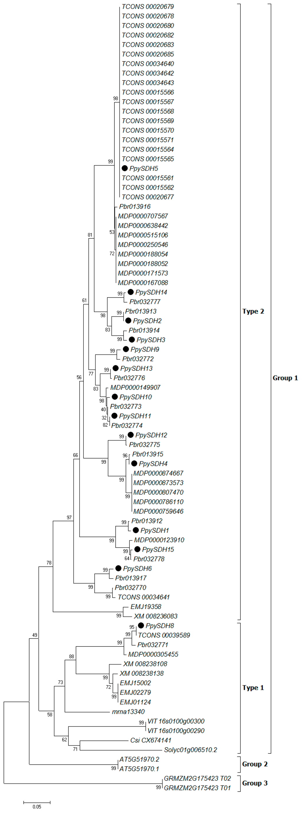 Ijms Special Issue Plant Molecular Biology - 