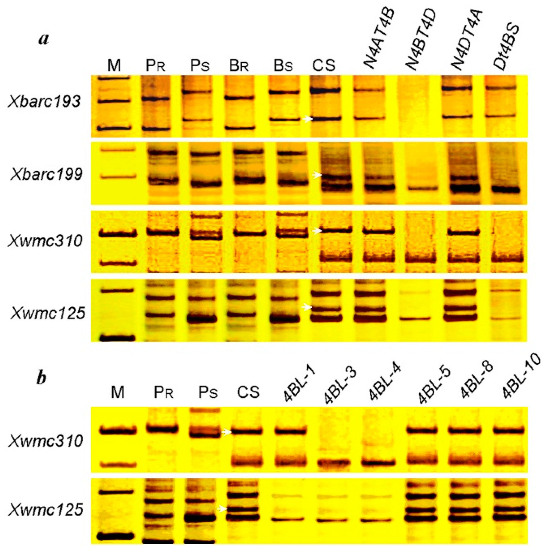 Ijms 16 17231 g005