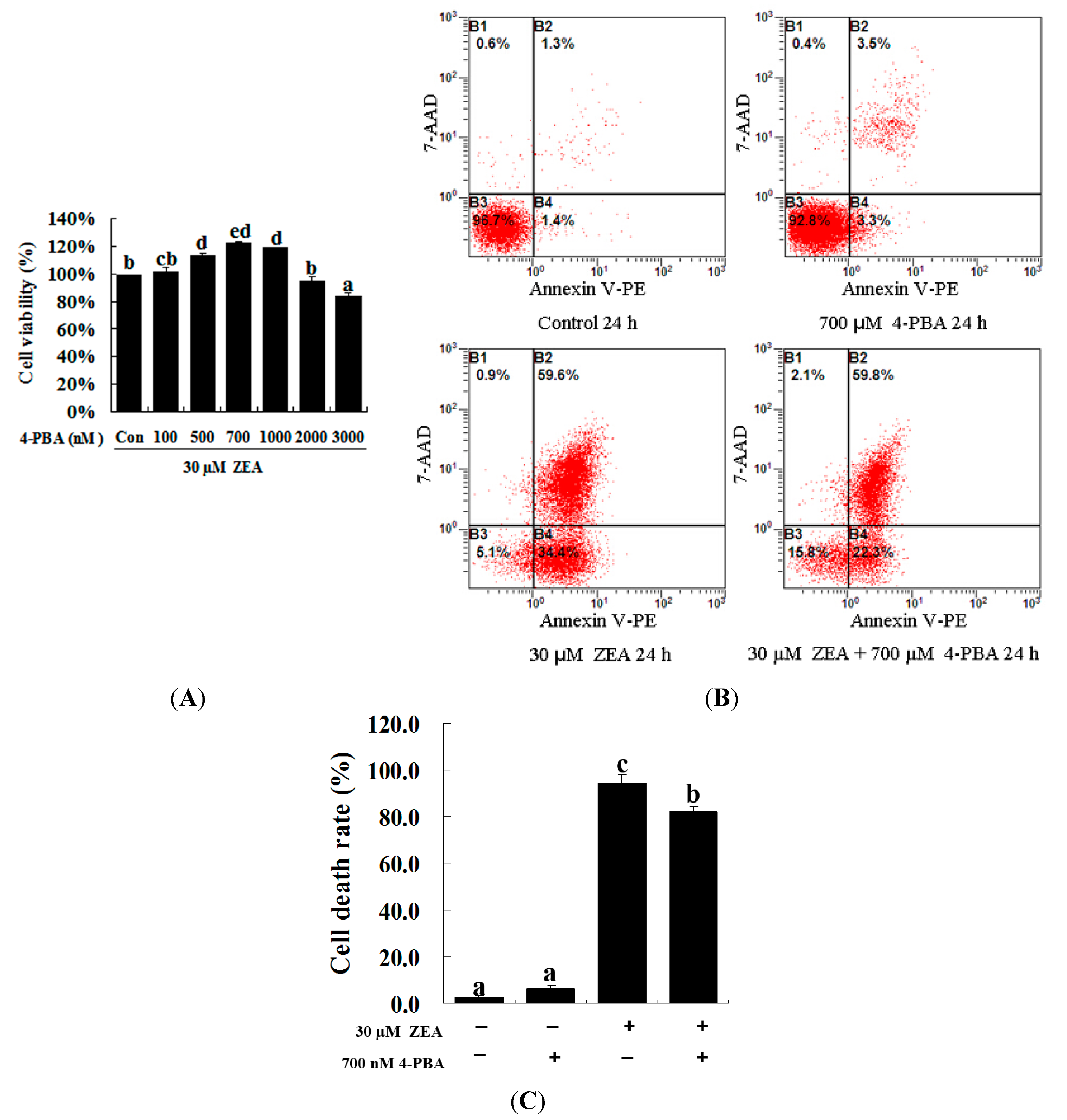 a) Fluorescence images of RAW 264.7 macrophages grown for 24 h and