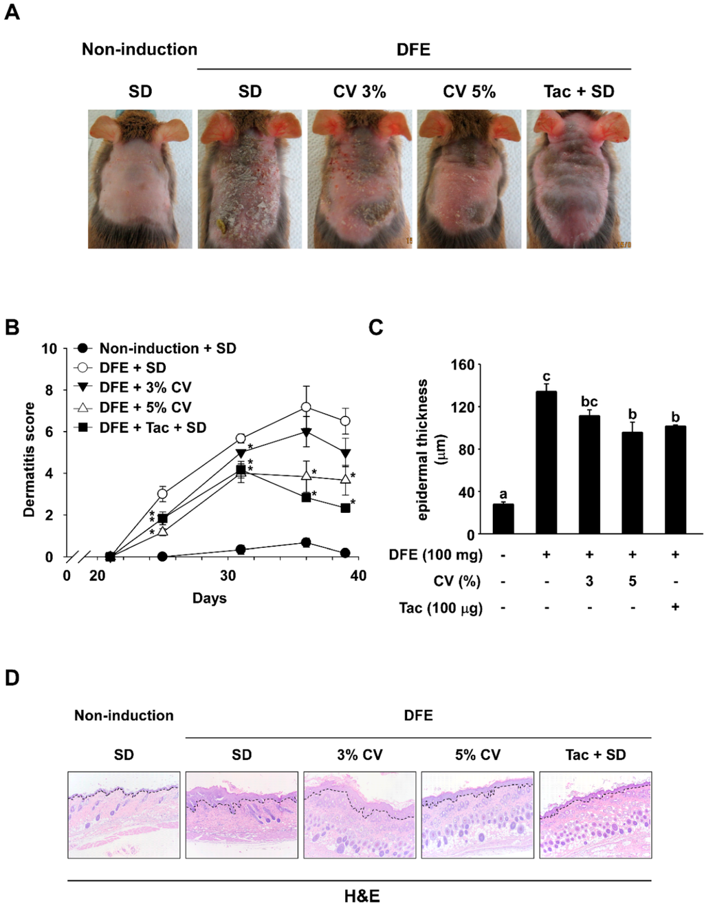 Ijms Free Full Text Chlorella Vulgaris Attenuates Dermatophagoides Farinae Induced Atopic Dermatitis Like Symptoms In Nc Nga Mice Html