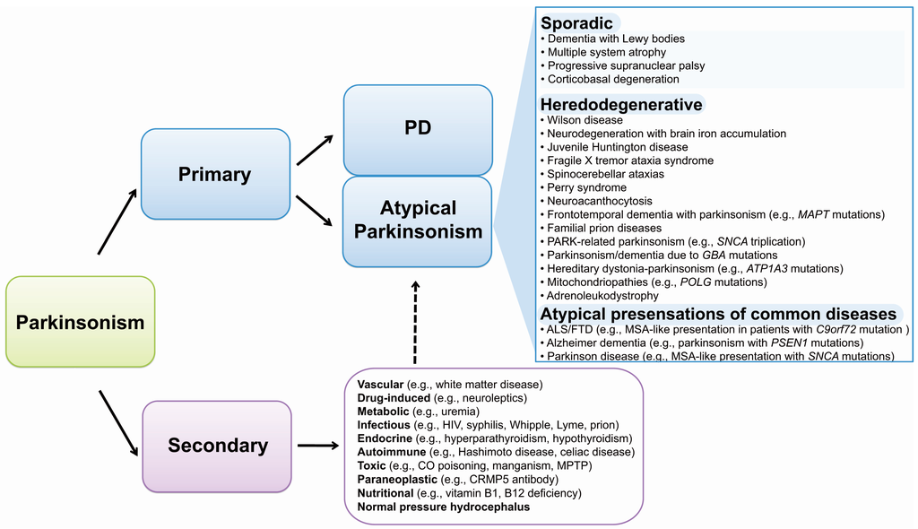 Free Full-Text | Genetics Underlying Atypical Parkinsonism and Related Neurodegenerative Disorders