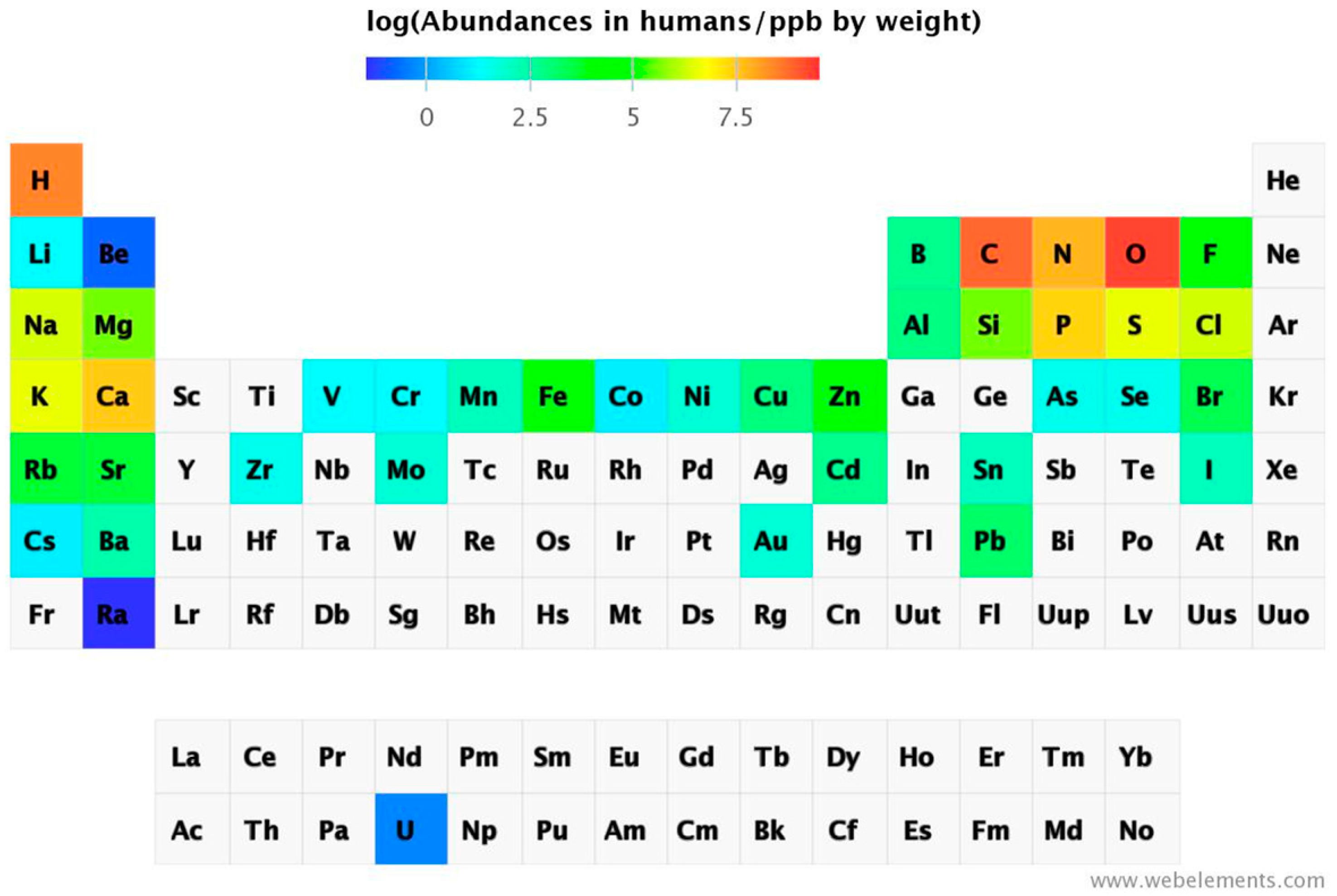 IJMS | Free Full-Text | The Metals in the Biological Periodic System of the  Elements: Concepts and Conjectures | HTML