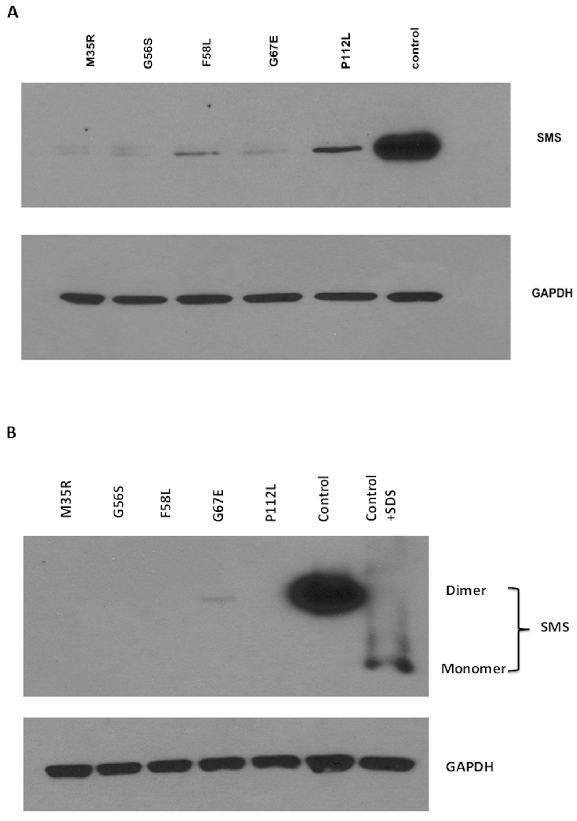 Ijms 17 00077 g001