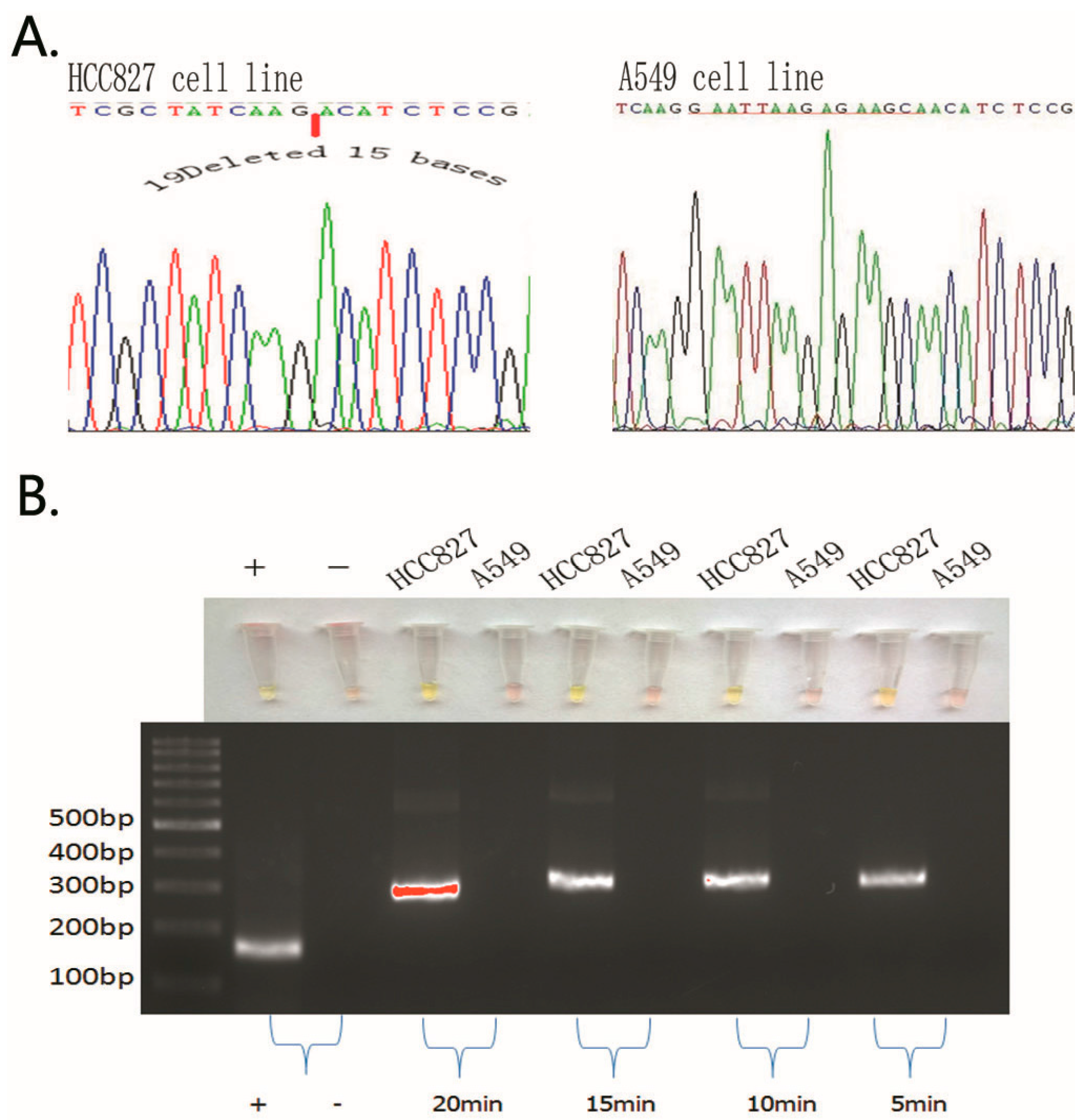 IJMS | Free Full-Text | A Novel Technique to Detect EGFR Mutations in