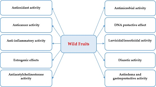 IJMS | Free Full-Text | Bioactivities and Health Benefits of Wild Fruits |  HTML