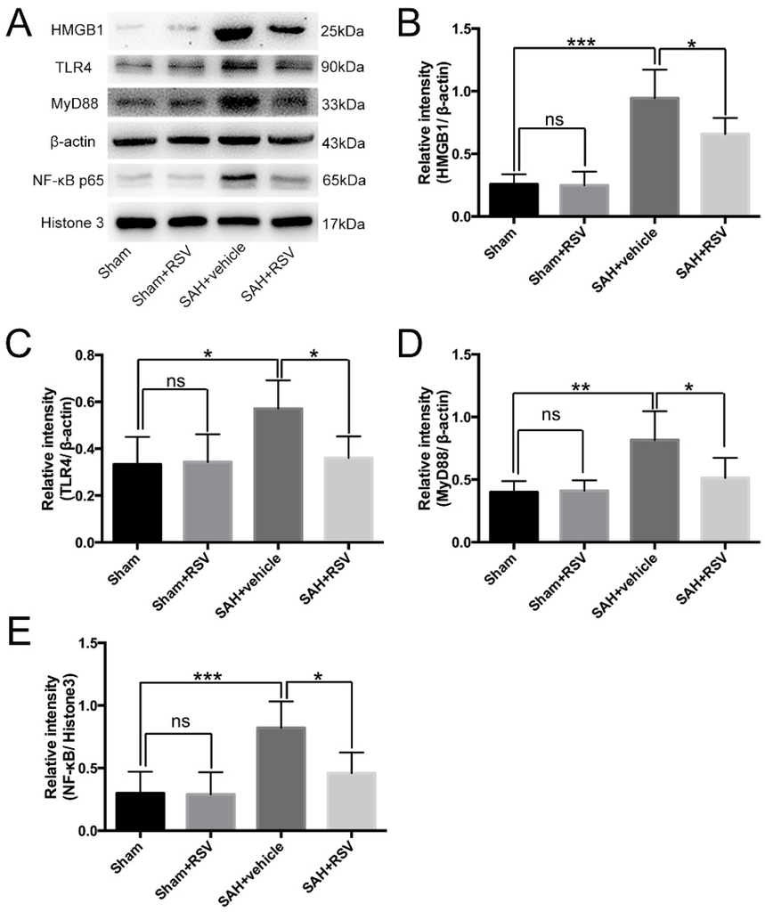 IJMS | Free Full-Text | Resveratrol Attenuates Acute Inflammatory ...