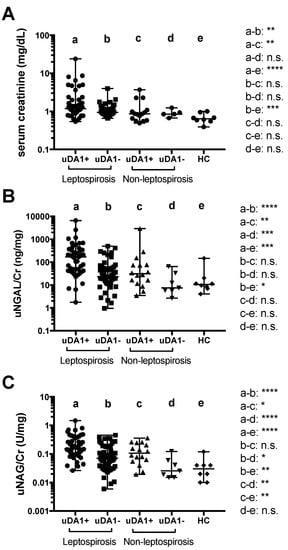 Ijms Free Full Text Urine Levels Of Defensin A1 Reflect Kidney Injury In Leptospirosis Patients Html