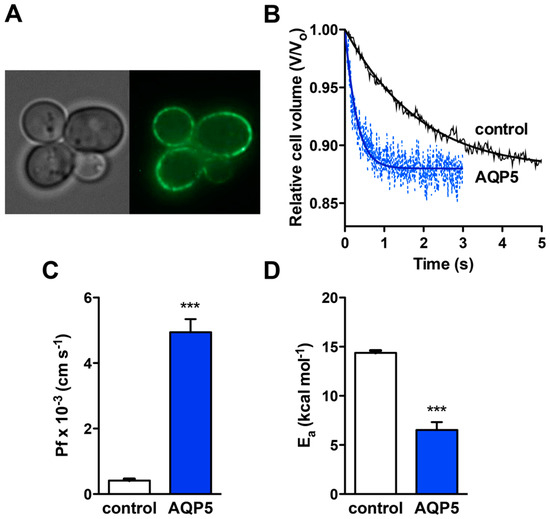 Ijms Special Issue Aquaporin