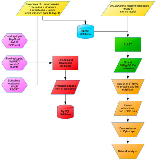 IJMS | Special Issue : Reverse Vaccinology