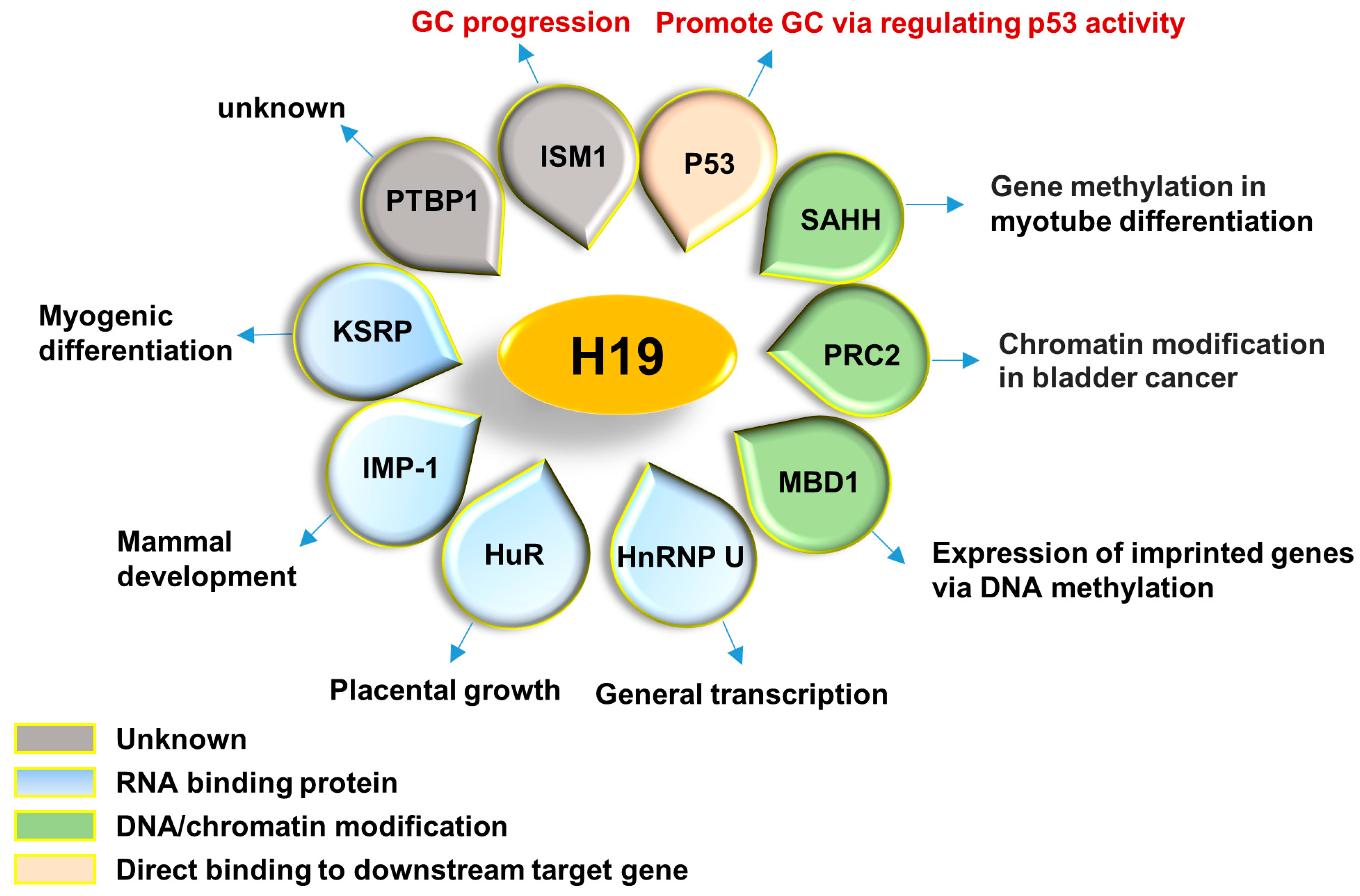 Valid H19-315-ENU Test Pdf