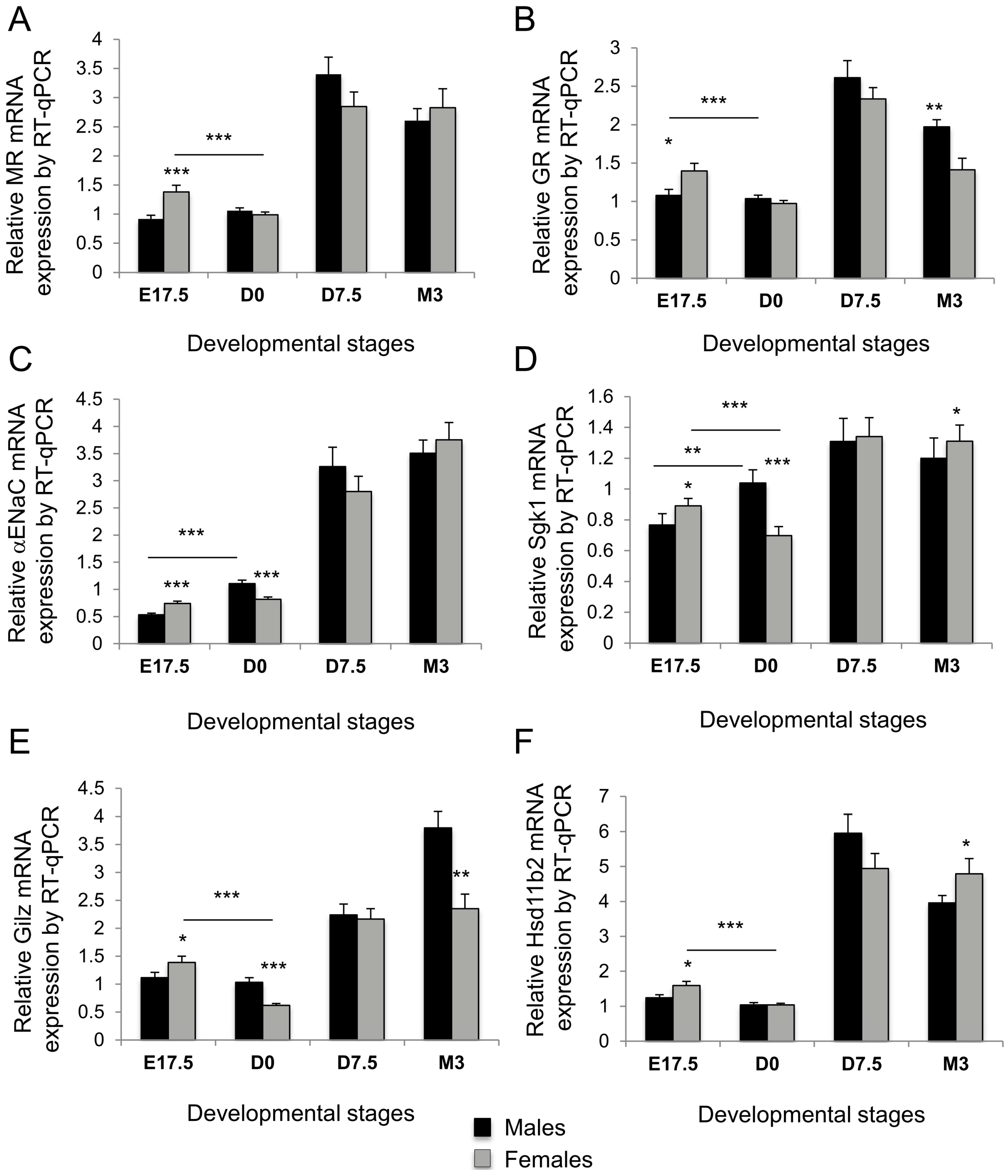 Ijms Free Full Text Sex Specificity Of Mineralocorticoid Target 