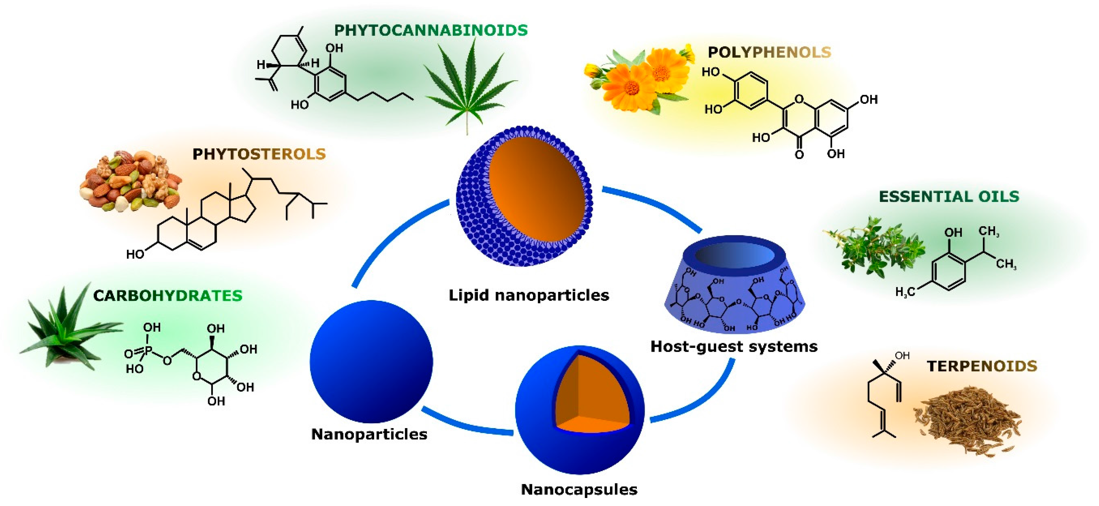 IJMS | Free Full-Text | Recent Advances in Nanoparticle-Mediated Delivery  of Anti-Inflammatory Phytocompounds