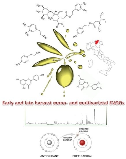 Ijms Free Full Text Analytical Evaluation And Antioxidant Properties Of Some Secondary Metabolites In Northern Italian Mono And Multi Varietal Extra Virgin Olive Oils Evoos From Early And Late Harvested Olives