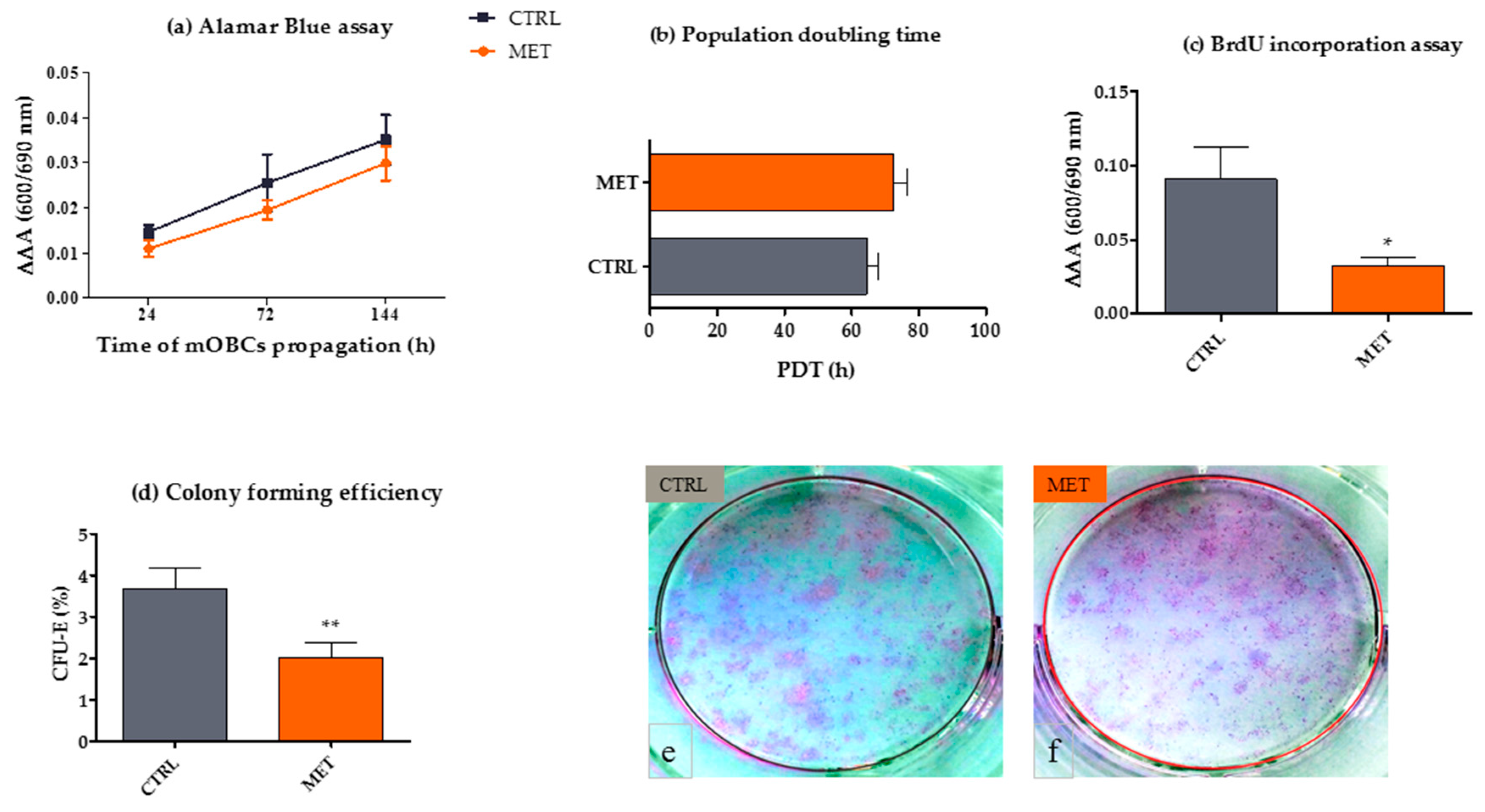 IJMS | Free Full-Text | Antioxidant and Anti-Senescence Effect of Metformin  on Mouse Olfactory Ensheathing Cells (mOECs) May Be Associated with  Increased Brain-Derived Neurotrophic Factor Levels—An Ex Vivo Study