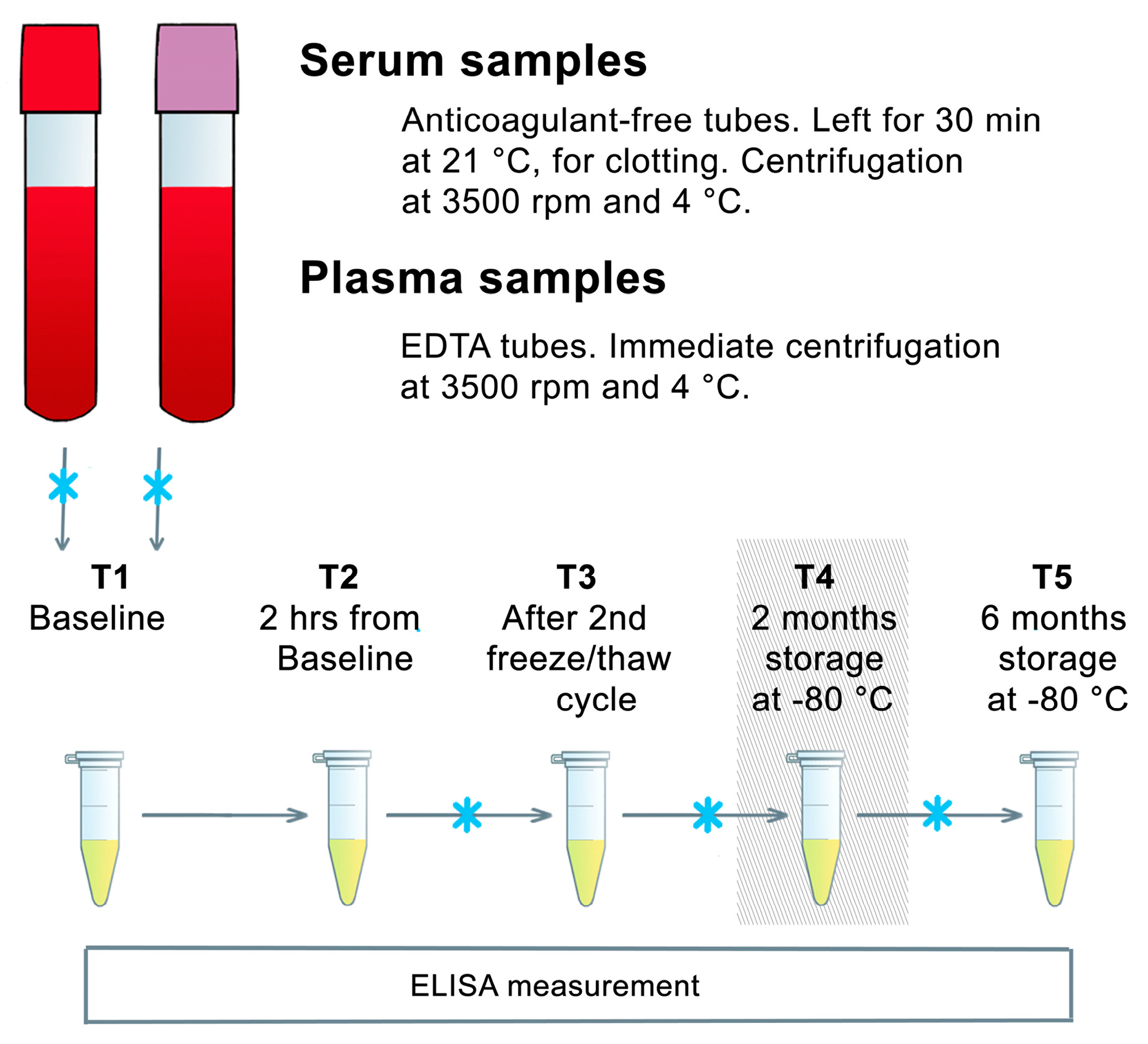 IJMS | Free Full-Text | Stability of BDNF in Human Samples Stored Up to 6  Months and Correlations of Serum and EDTA-Plasma Concentrations