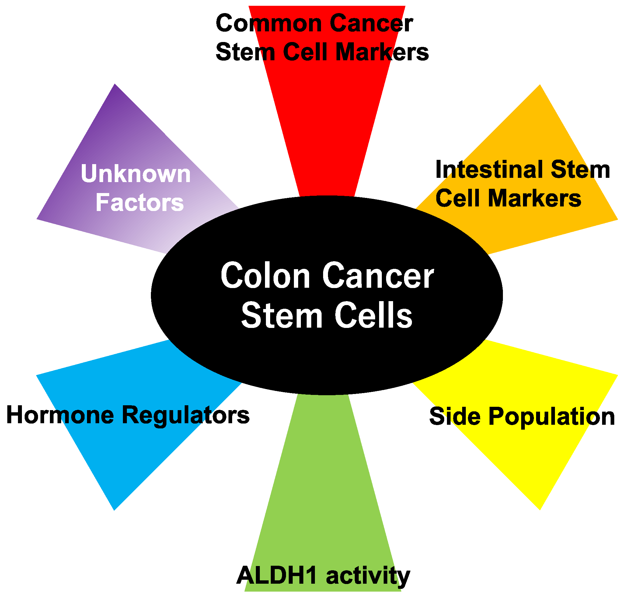 IJMS | Free Full-Text | Multifaceted Interpretation of Colon Cancer Stem  Cells | HTML