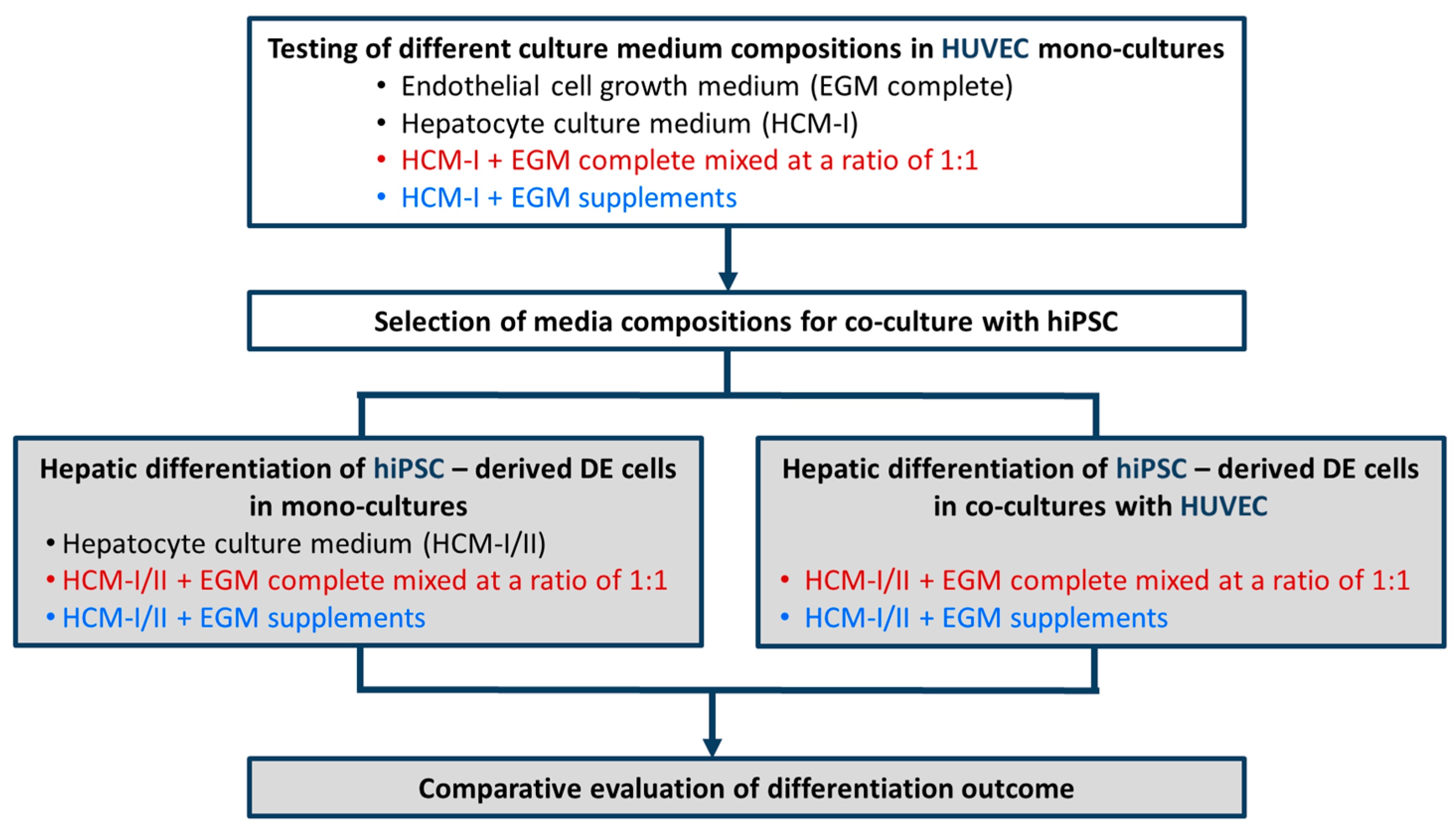 IJMS | Free Full-Text | Effects of Co-Culture Media on Hepatic  Differentiation of hiPSC with or without HUVEC Co-Culture