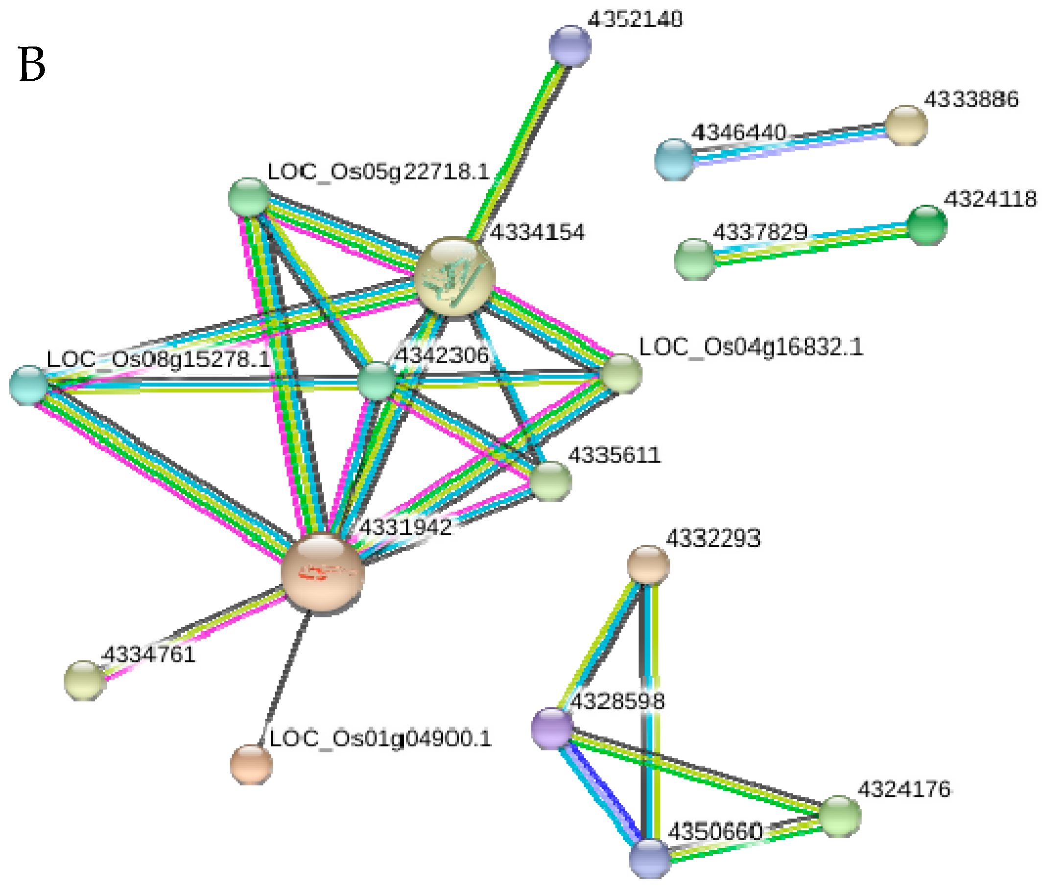 Ijms 18 01975 g008b Ijms 18 01975 g008b