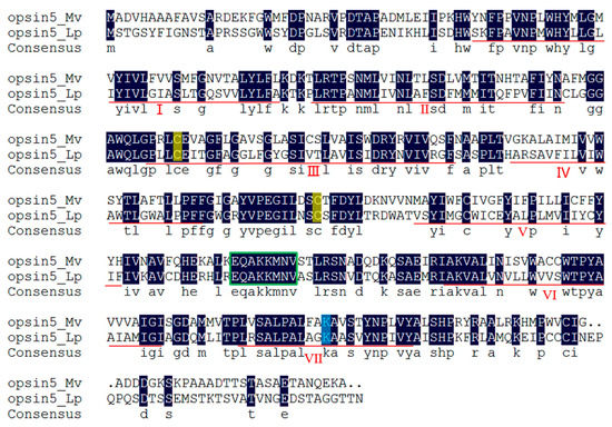 IJMS | Free Full-Text | Comparative Transcriptomic Analysis