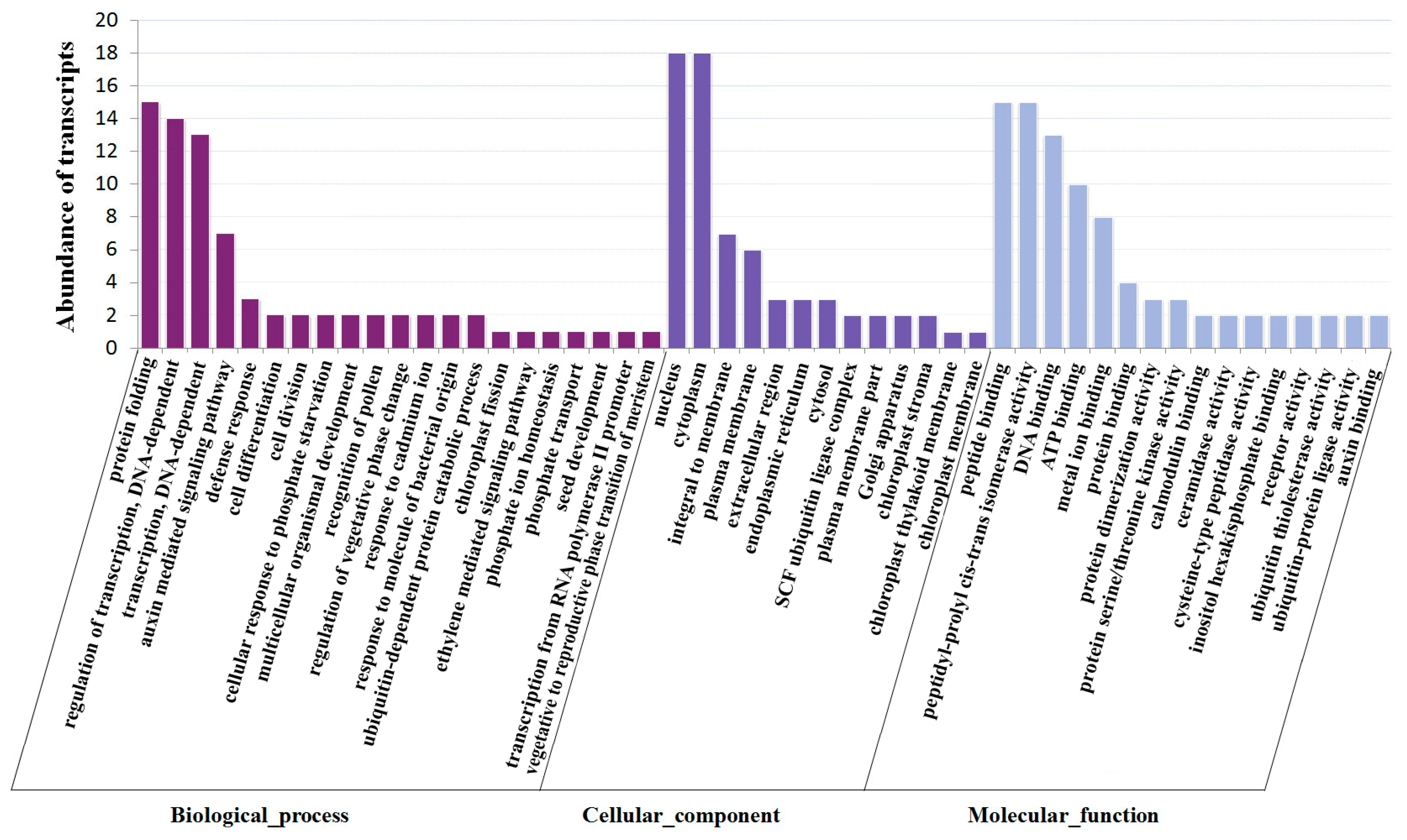 Ijms 18 02767 g005 Ijms 18 02767 g005