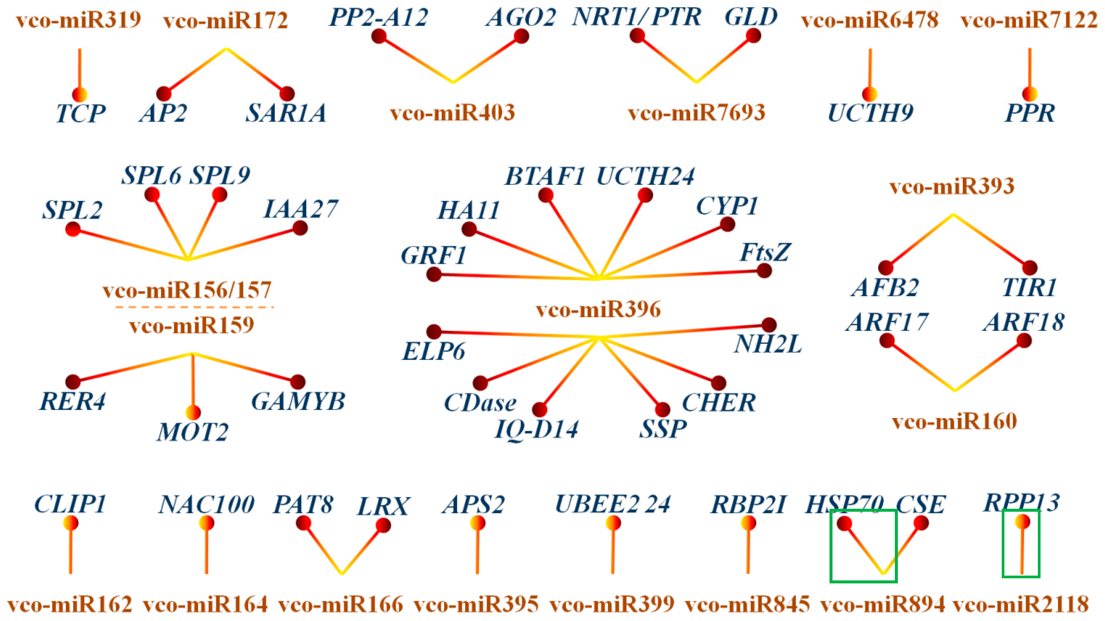 Ijms 18 02767 g006 Ijms 18 02767 g006