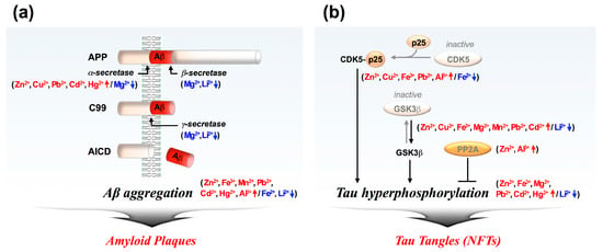 Ijms Free Full Text Metal Ion Effects On Ab And Tau Aggregation Html